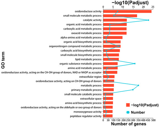 その他 Pick Transcriptomic Analysis of Venom Secretion in Achelura yunnanensis
