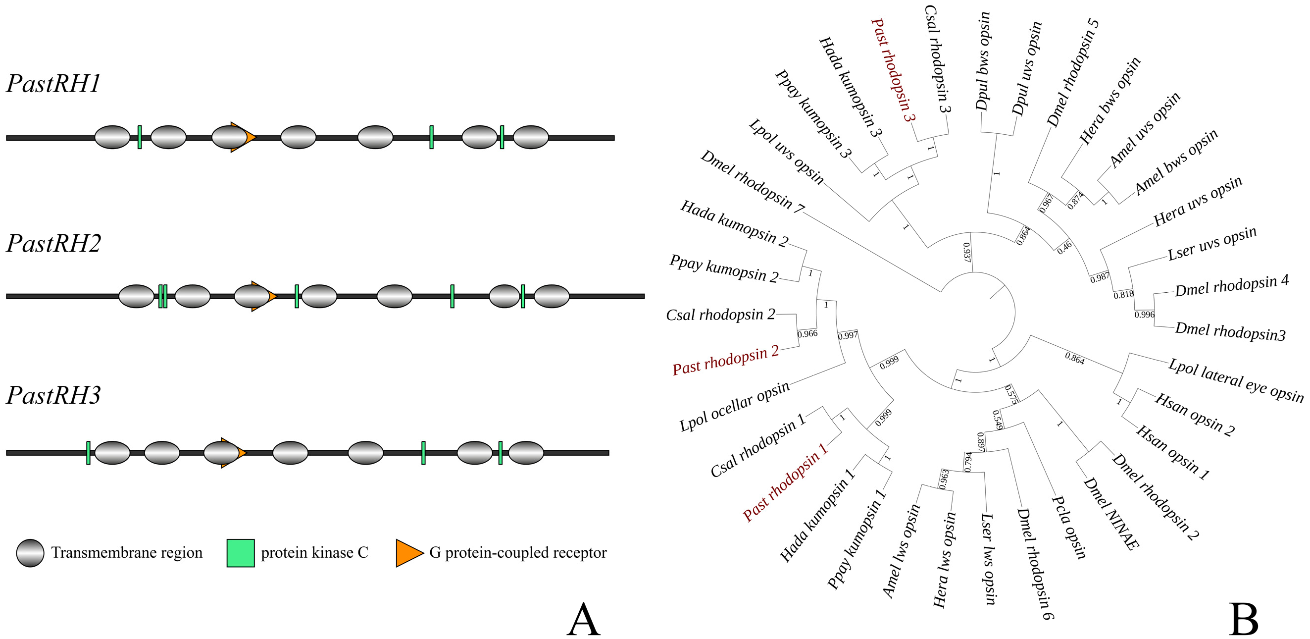Insects 16 00595 g003