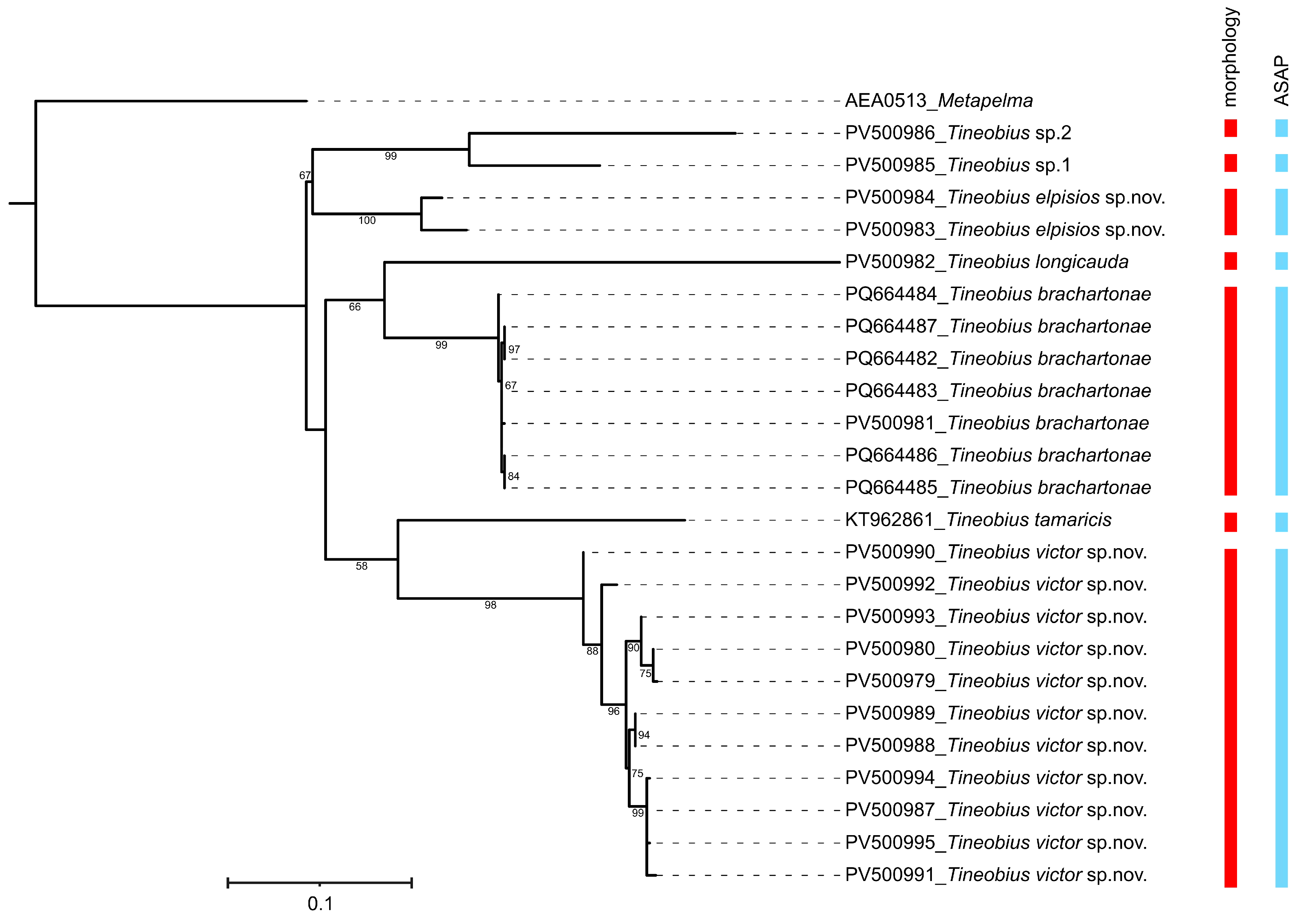 Insects 16 00597 g001