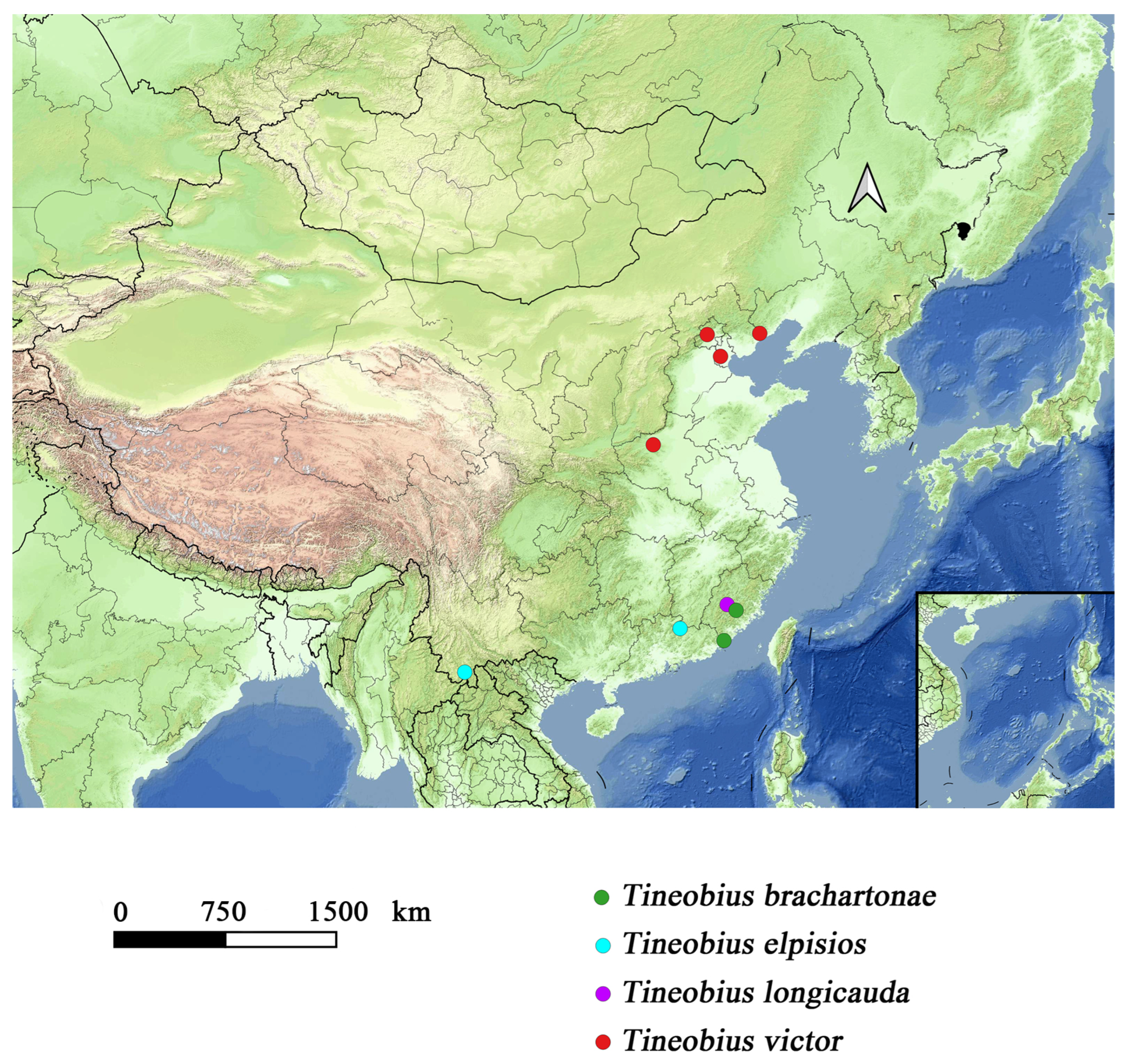 Insects 16 00597 g014