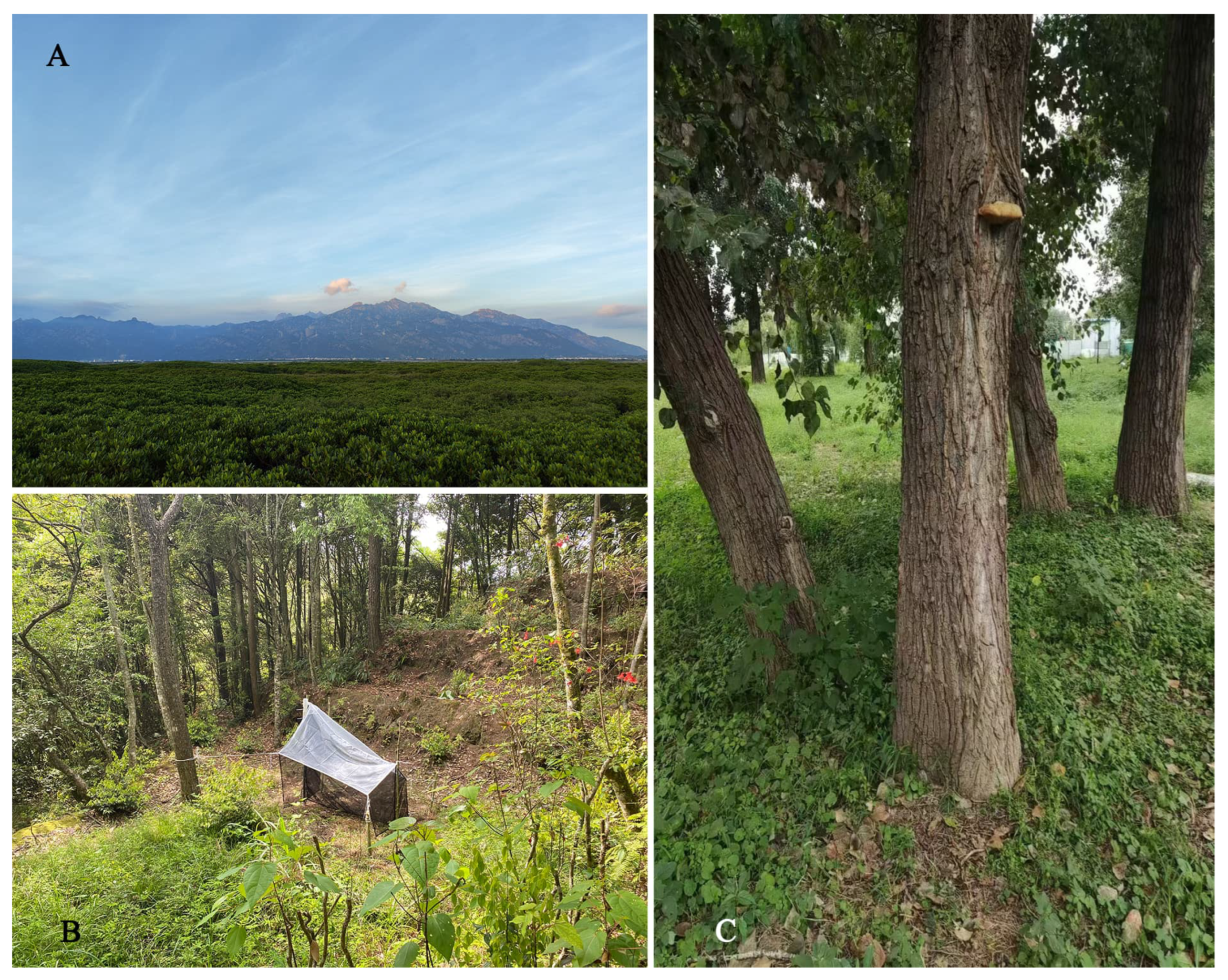 Insects 16 00597 g016