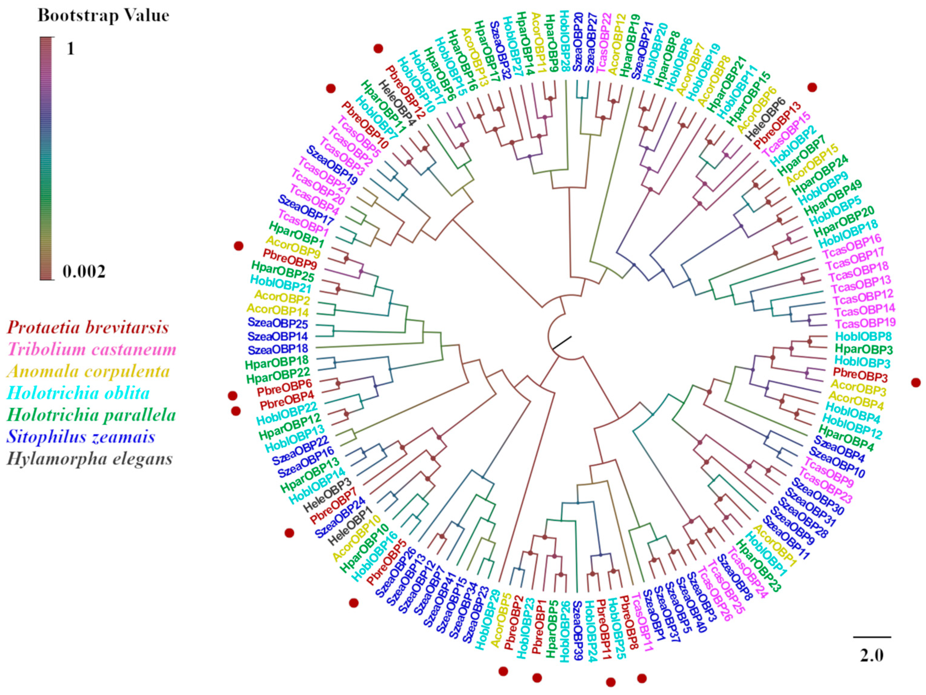 Insects 16 00607 g005