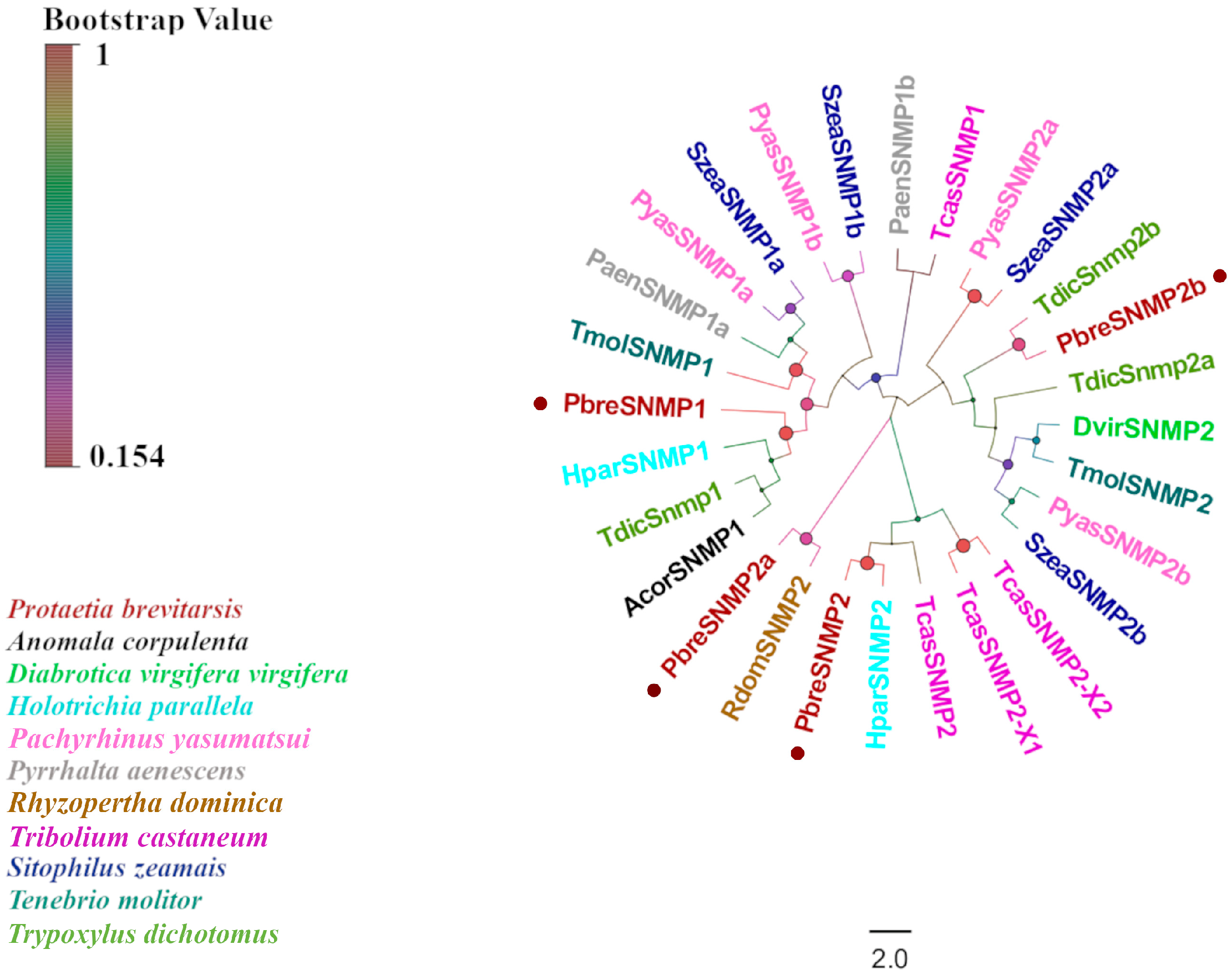 Insects 16 00607 g008