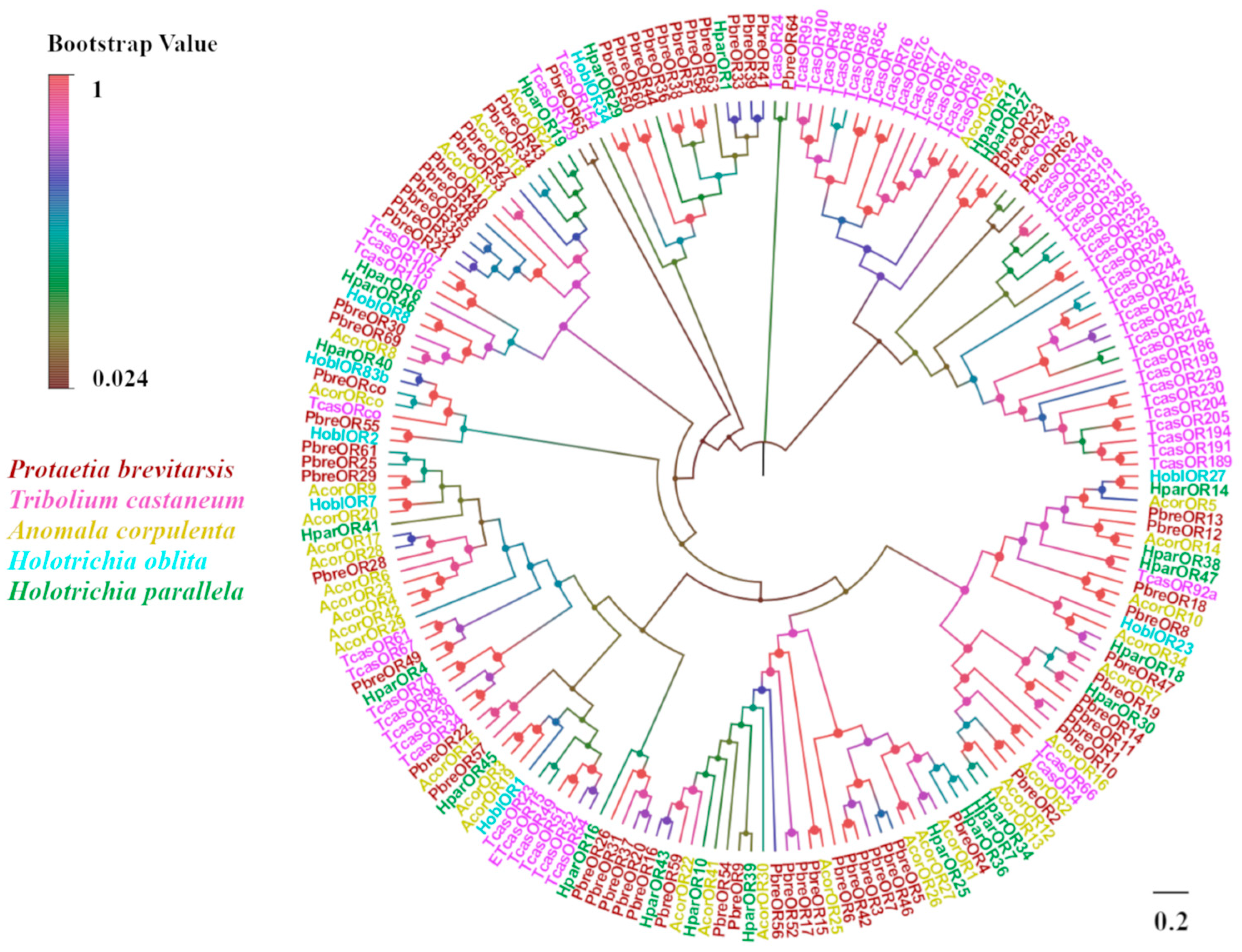 Insects 16 00607 g009