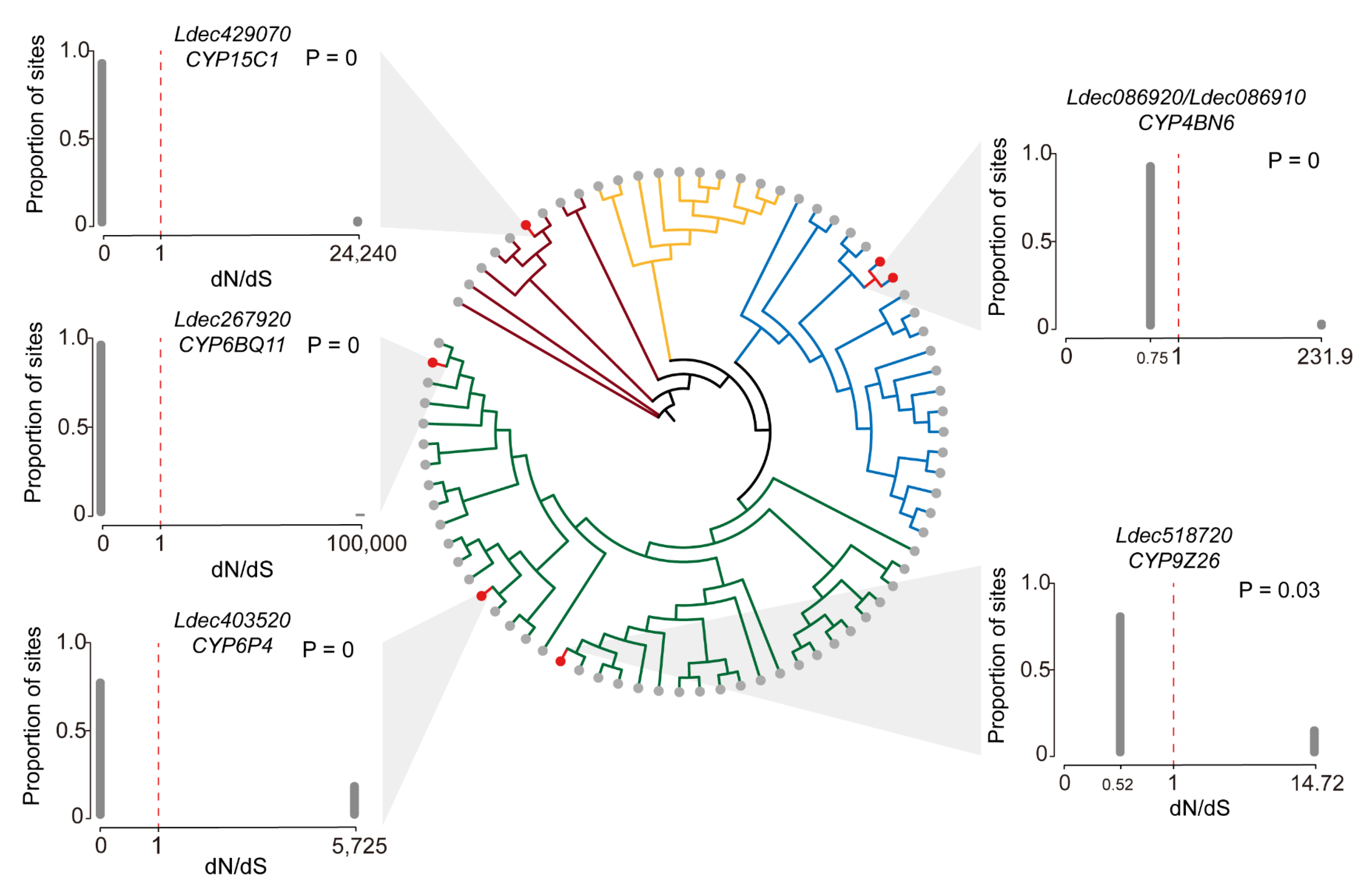 Insects 16 00608 g007