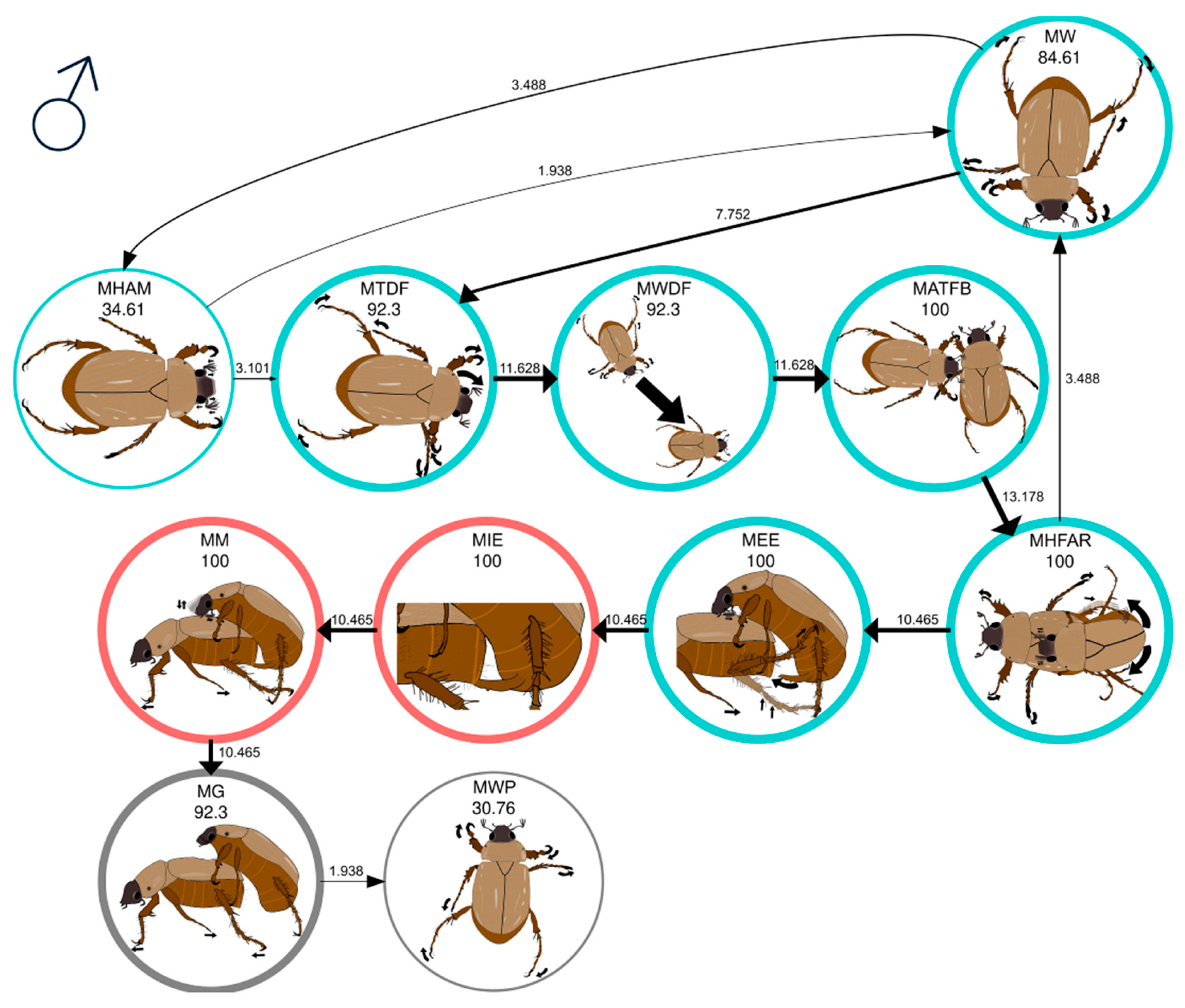 Amazon.com: The Evolution of Insect Mating Systems