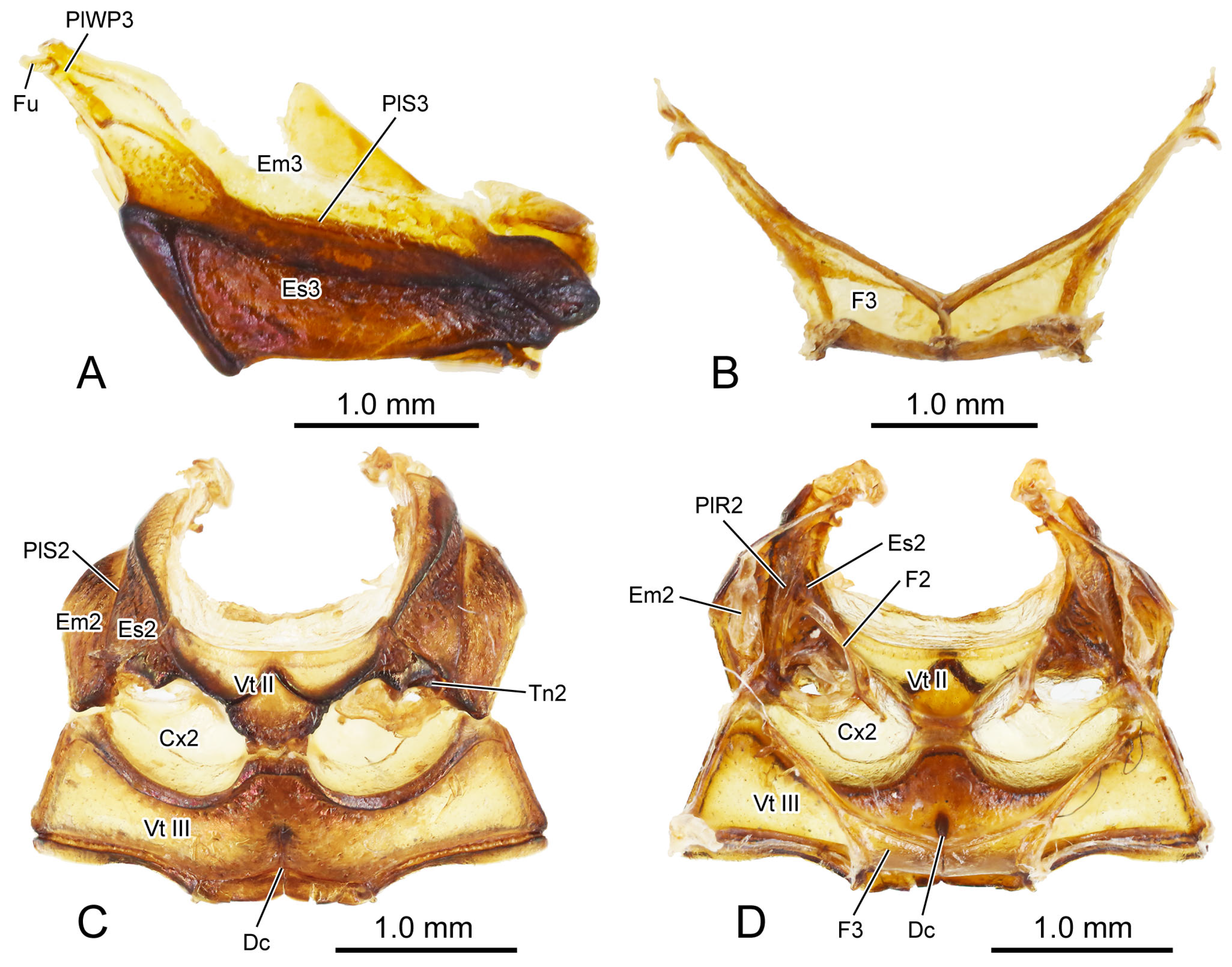 Insects 16 00618 g002