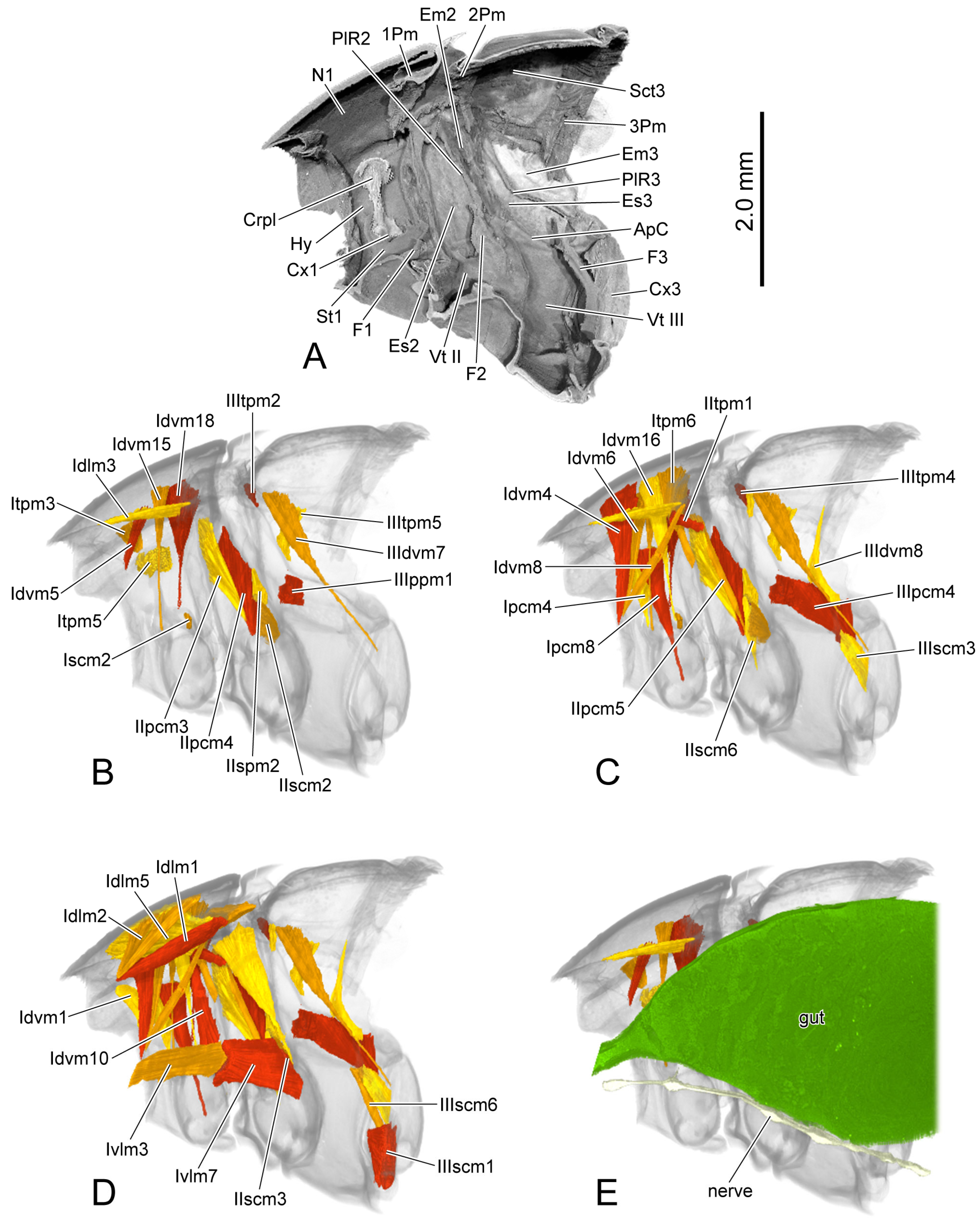 Insects 16 00618 g006