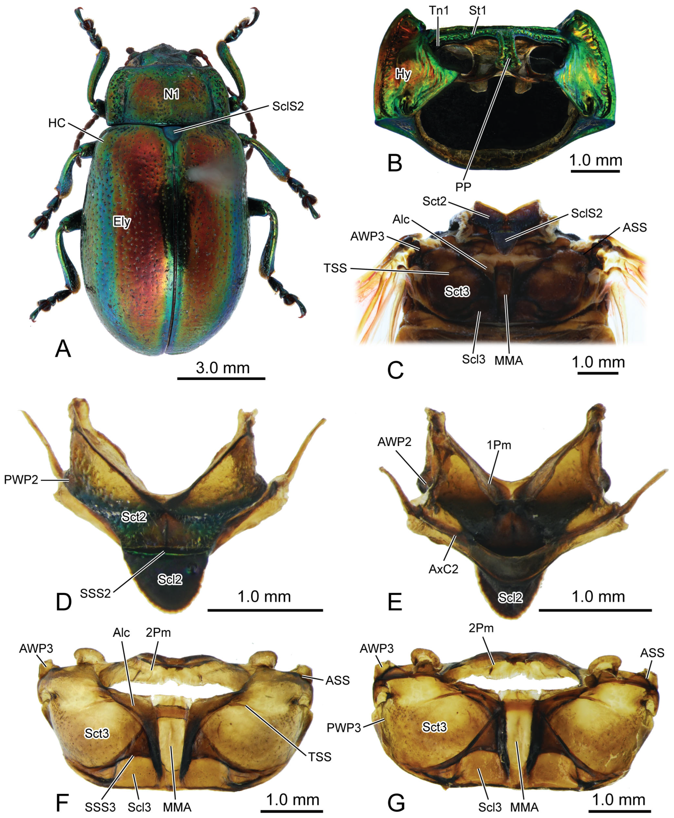Insects 16 00618 g007