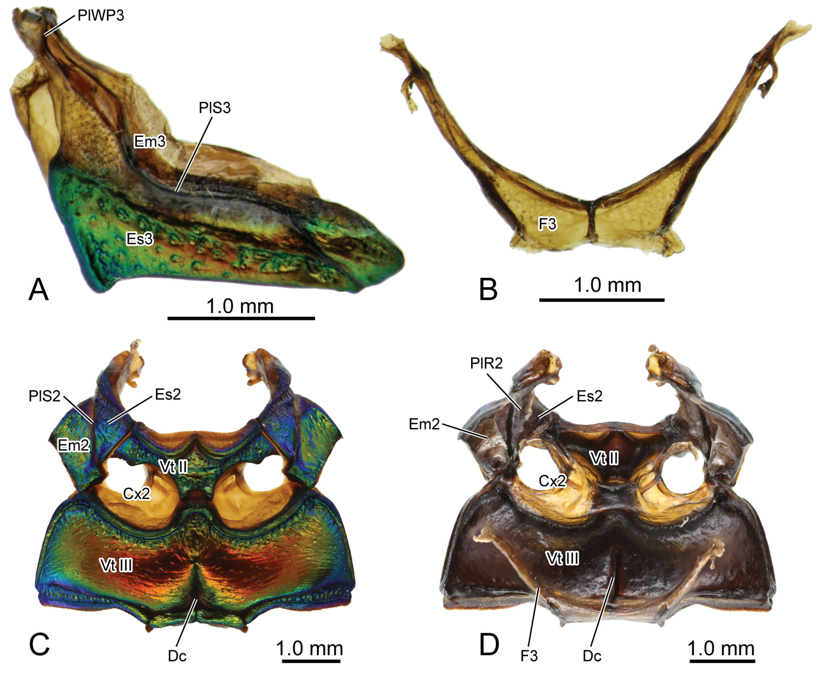Insects 16 00618 g008