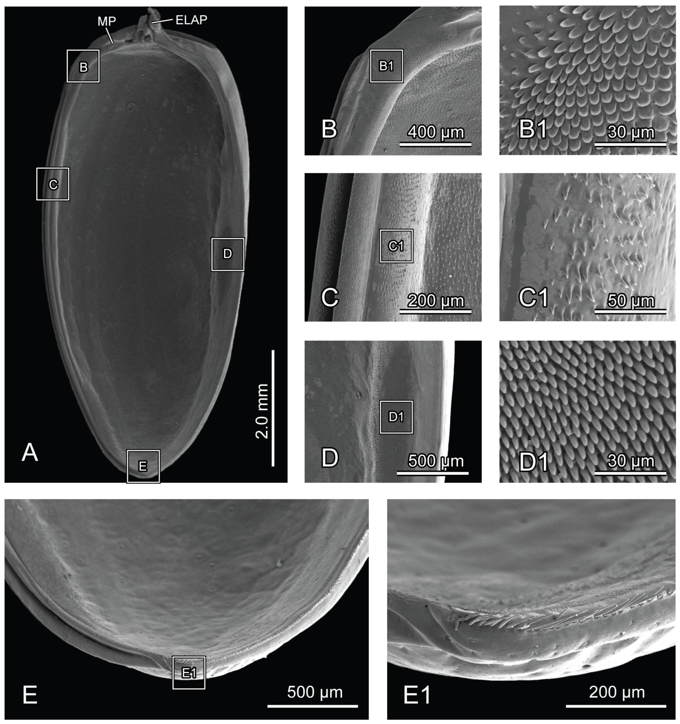 Insects 16 00618 g009
