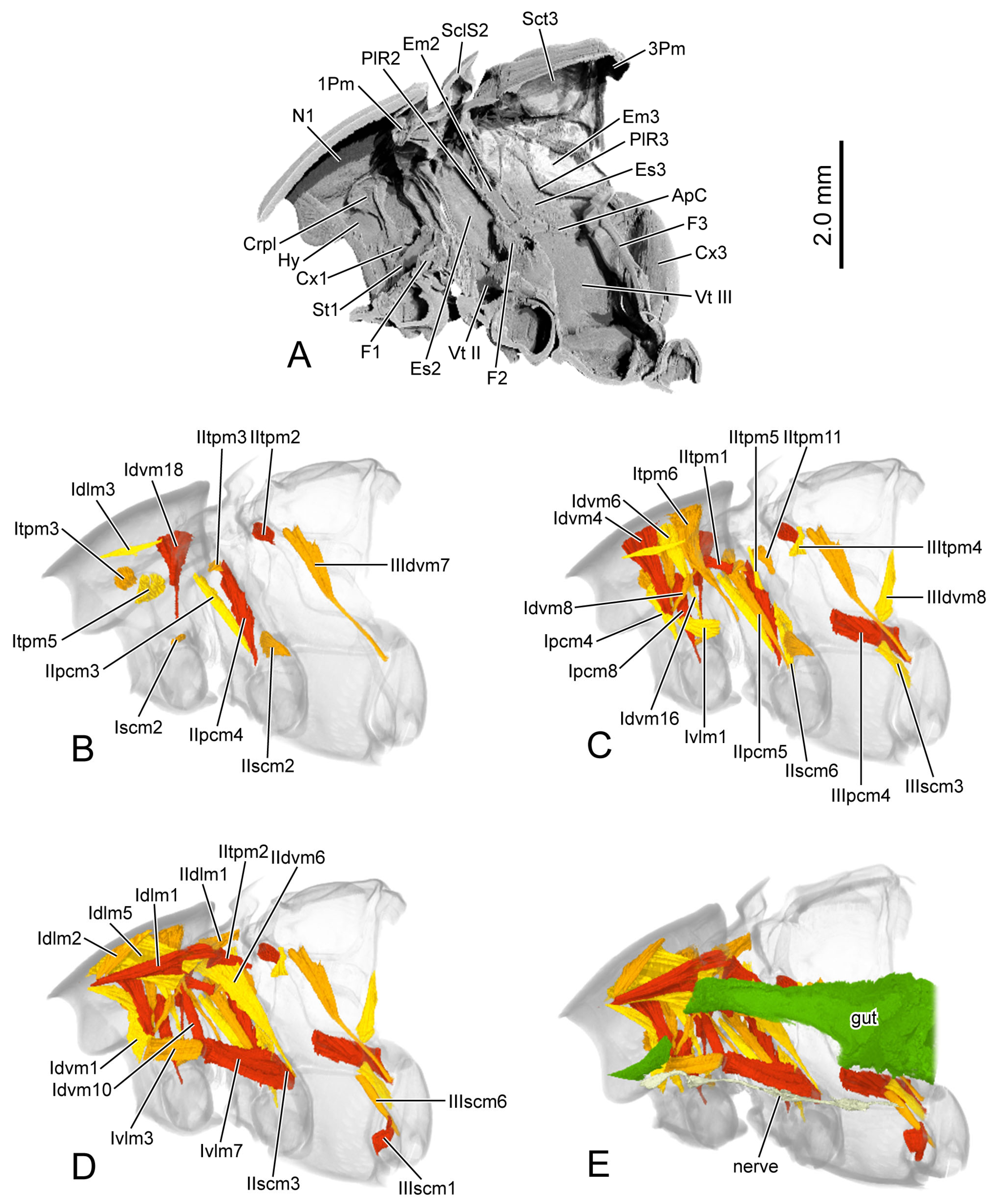 Insects 16 00618 g010