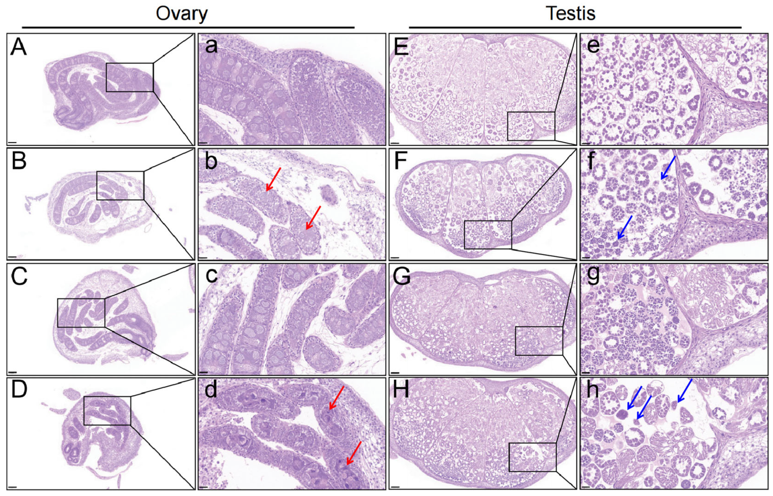 Insects 16 00619 g001