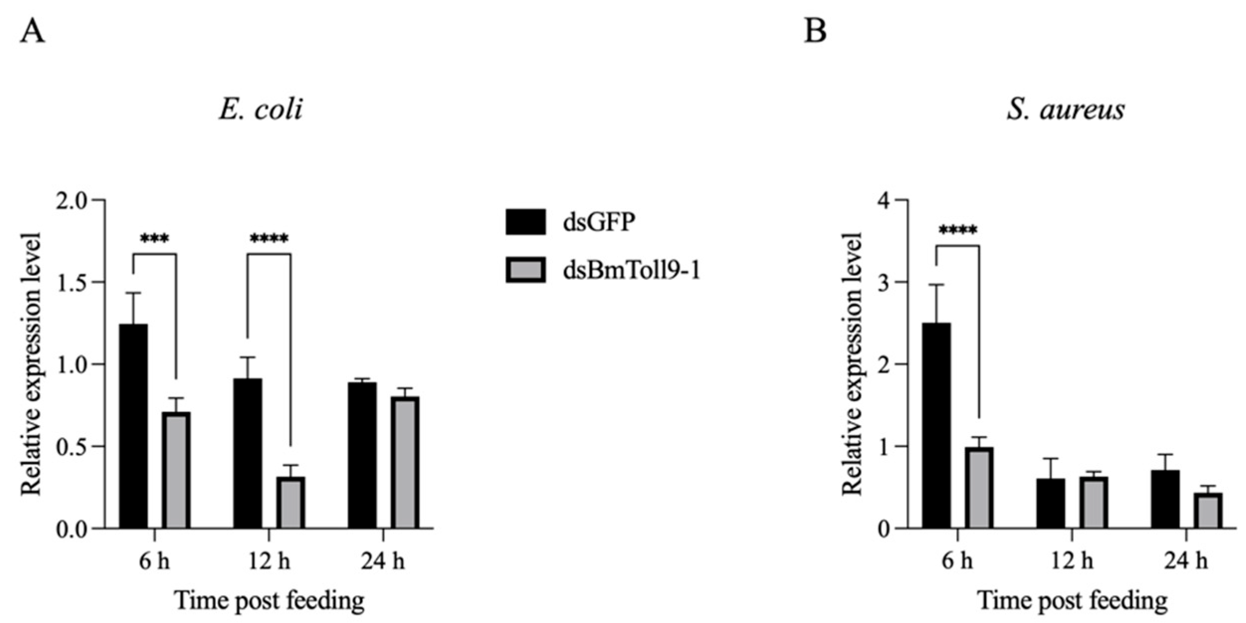 Insects 16 00621 g001