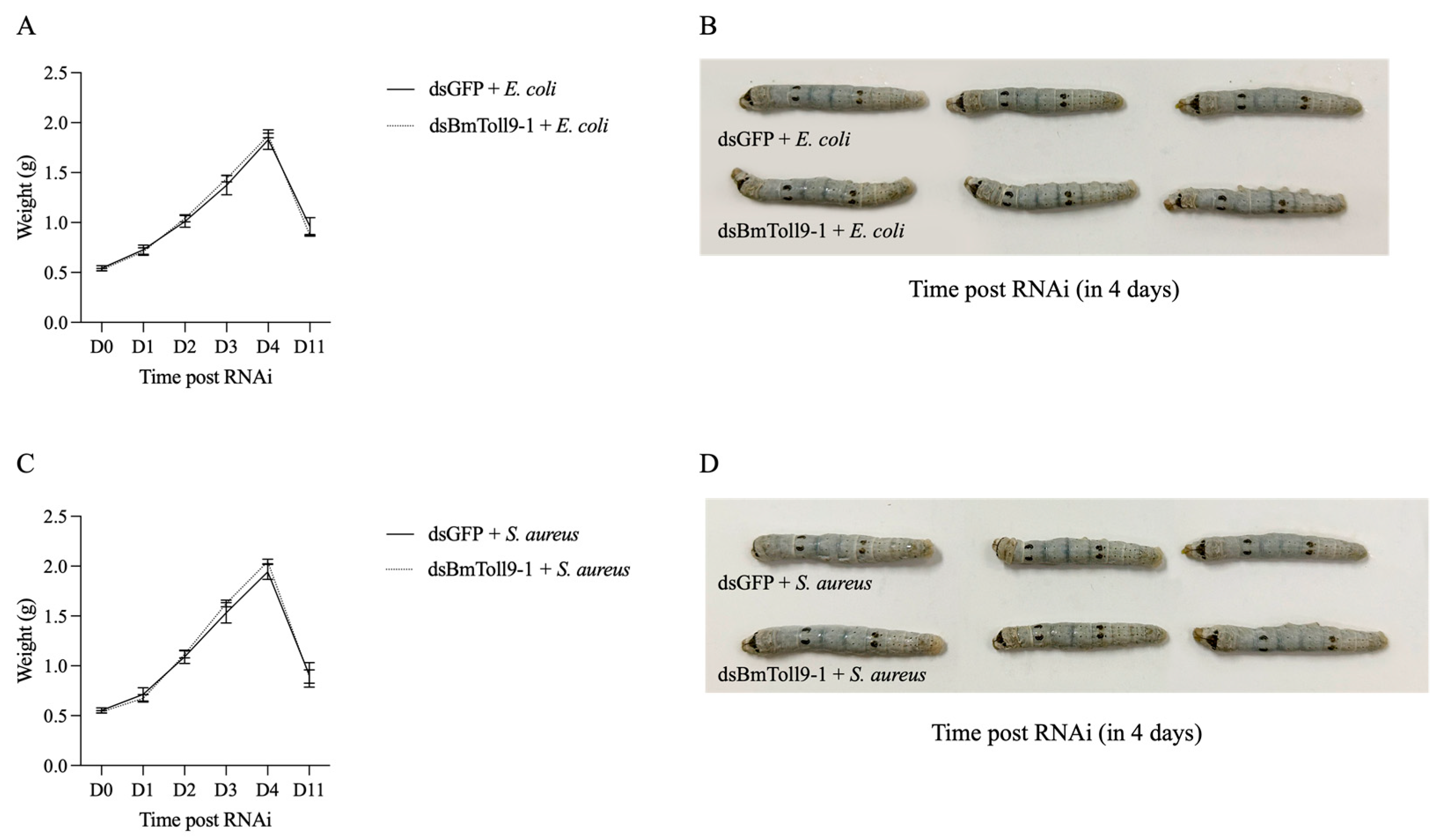 Insects 16 00621 g002