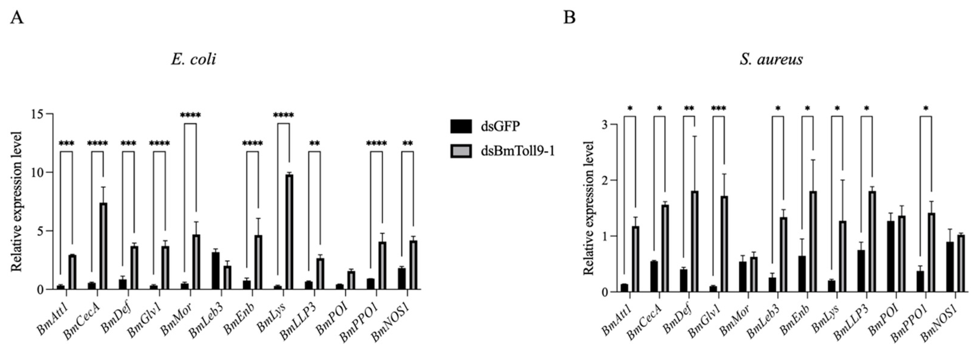 Insects 16 00621 g004