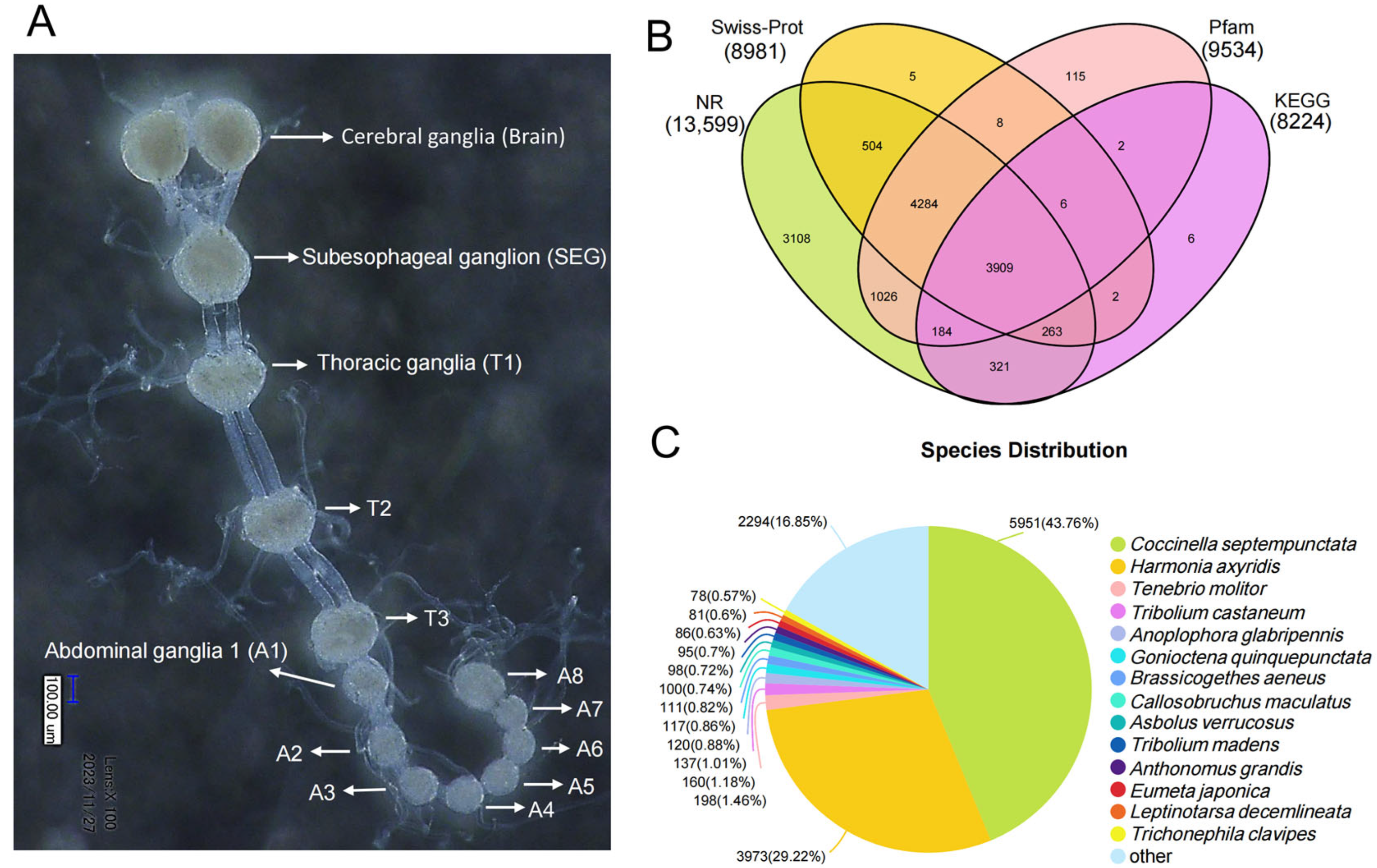 Insects 16 00624 g001
