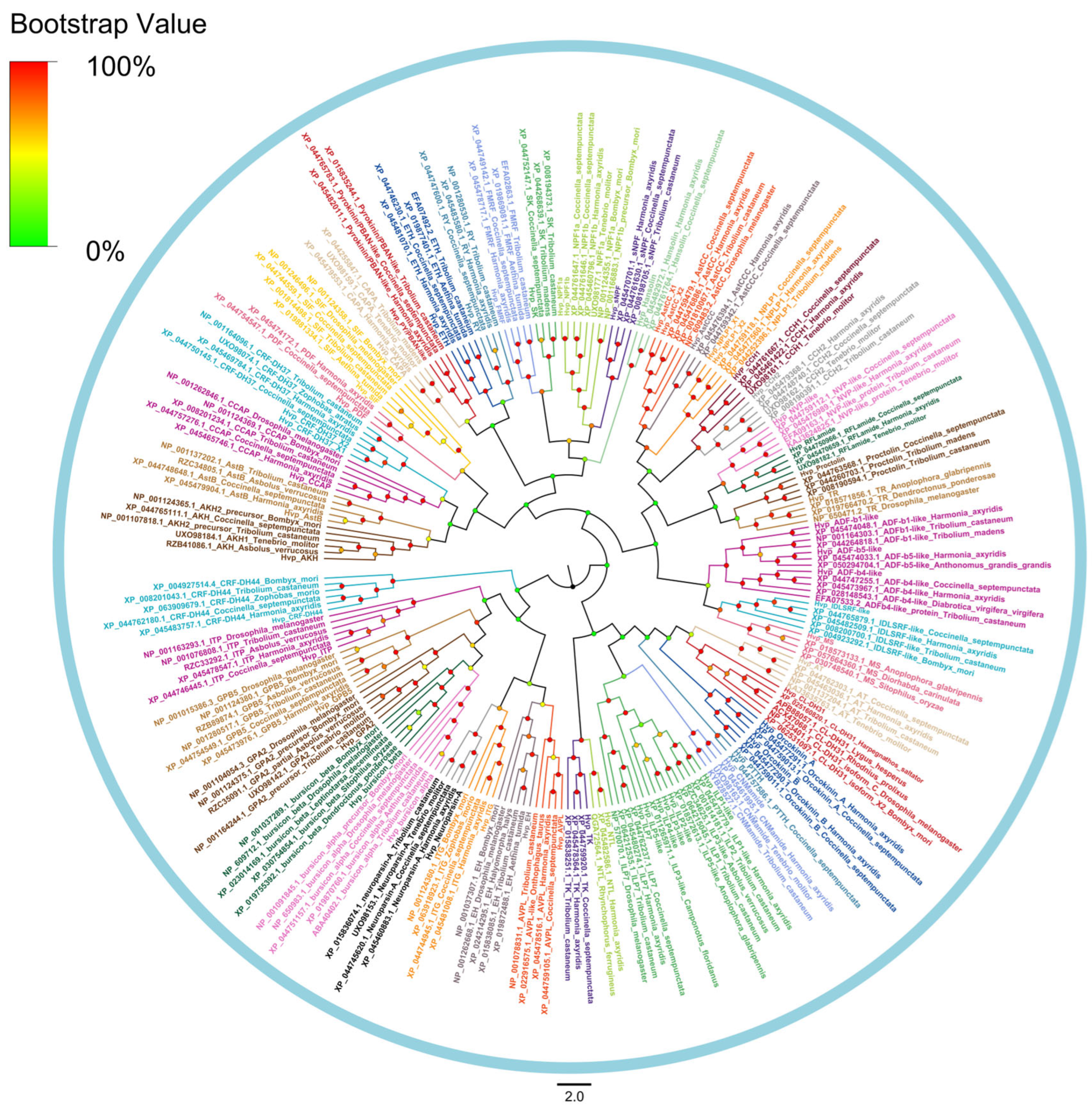Insects 16 00624 g003