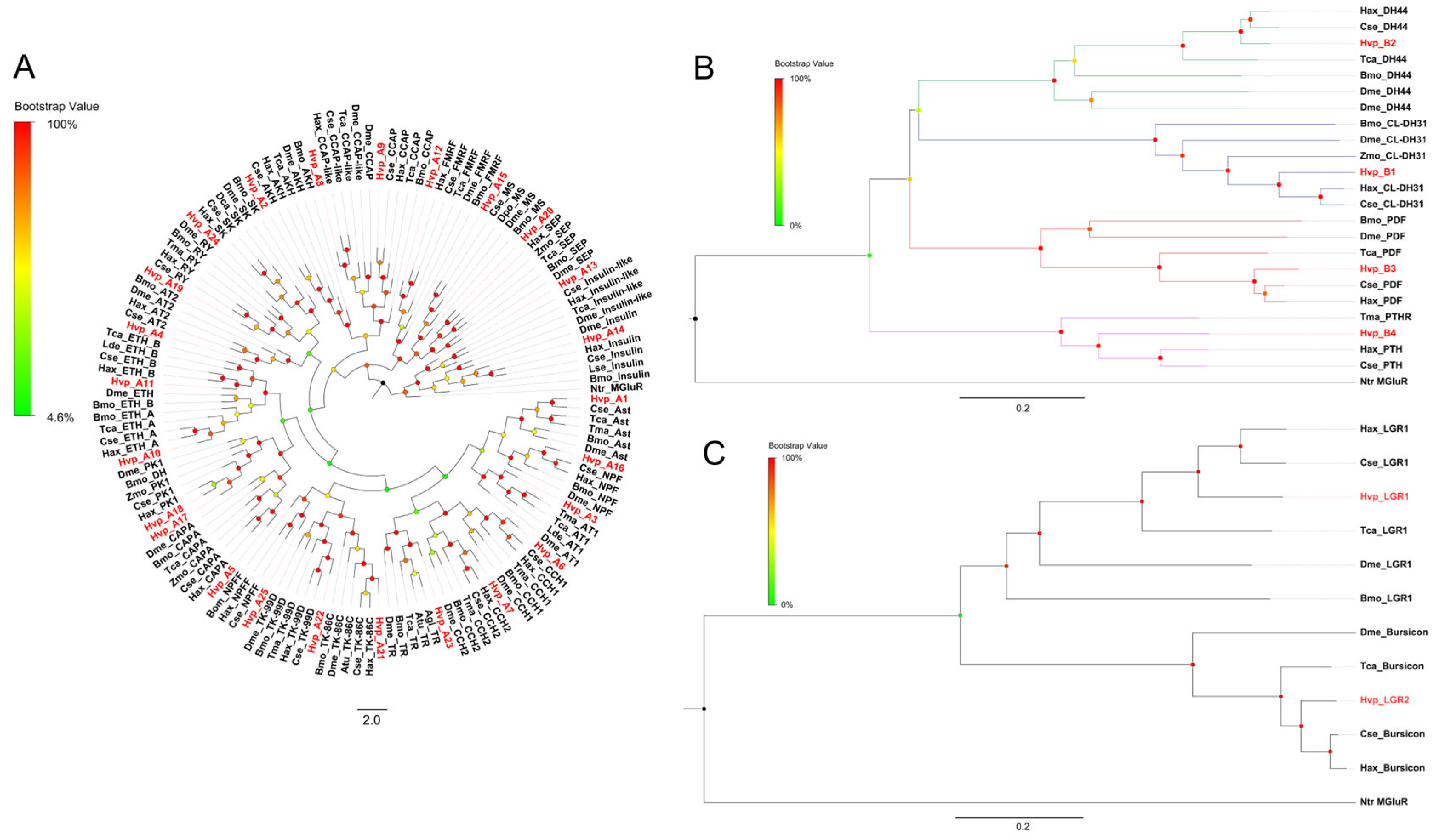Insects 16 00624 g005