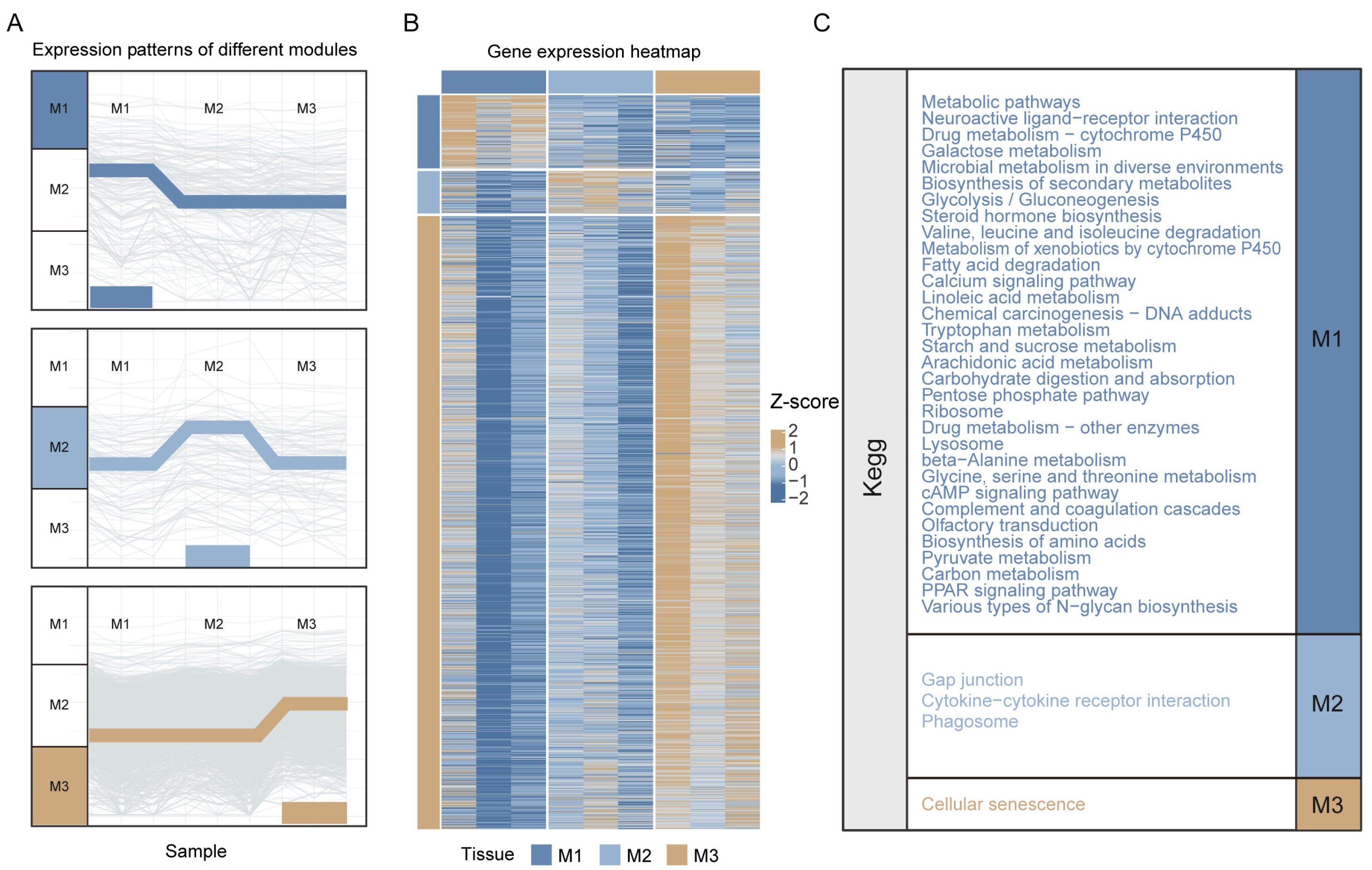 Insects 16 00634 g001
