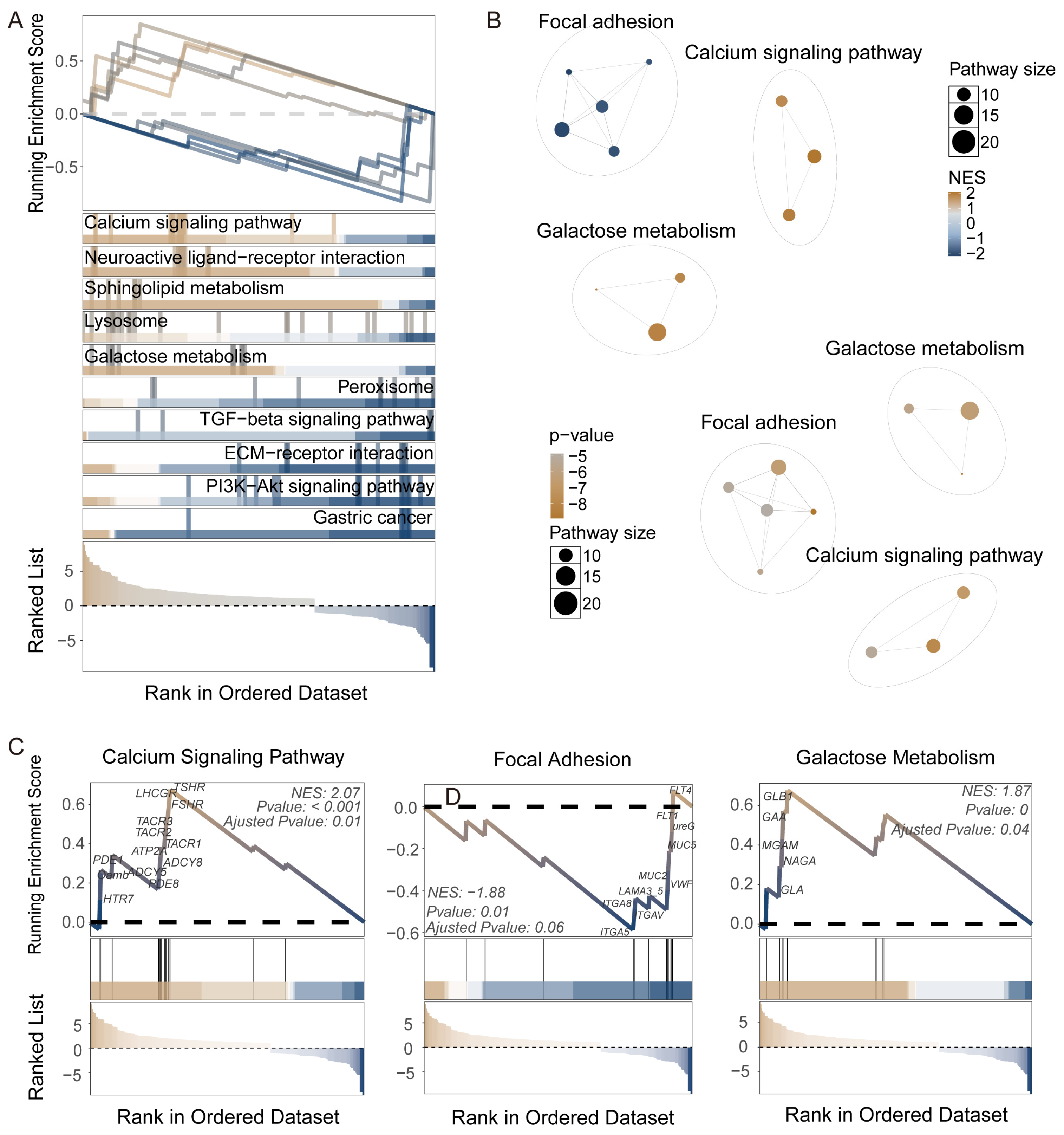 Insects 16 00634 g003