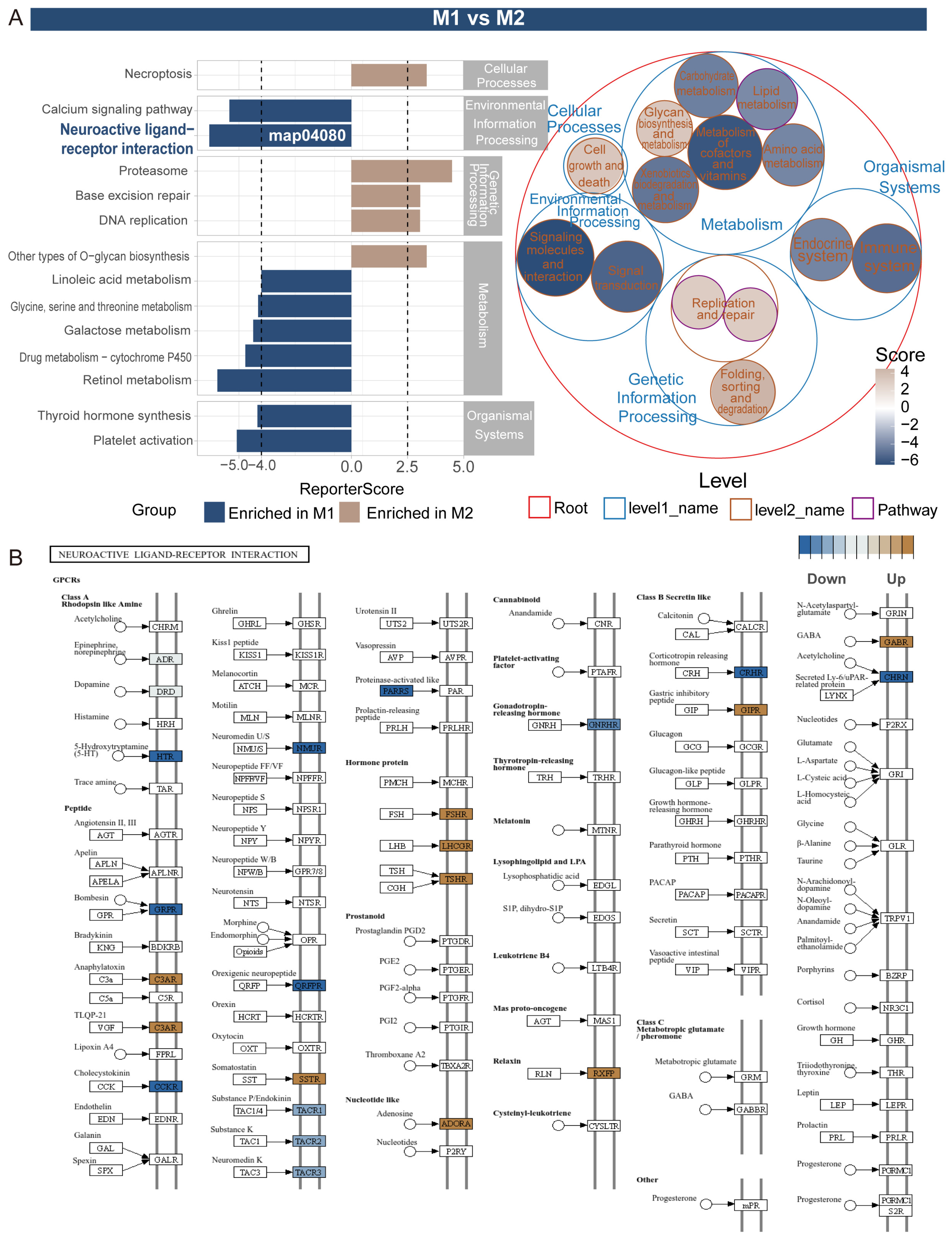 Insects 16 00634 g004