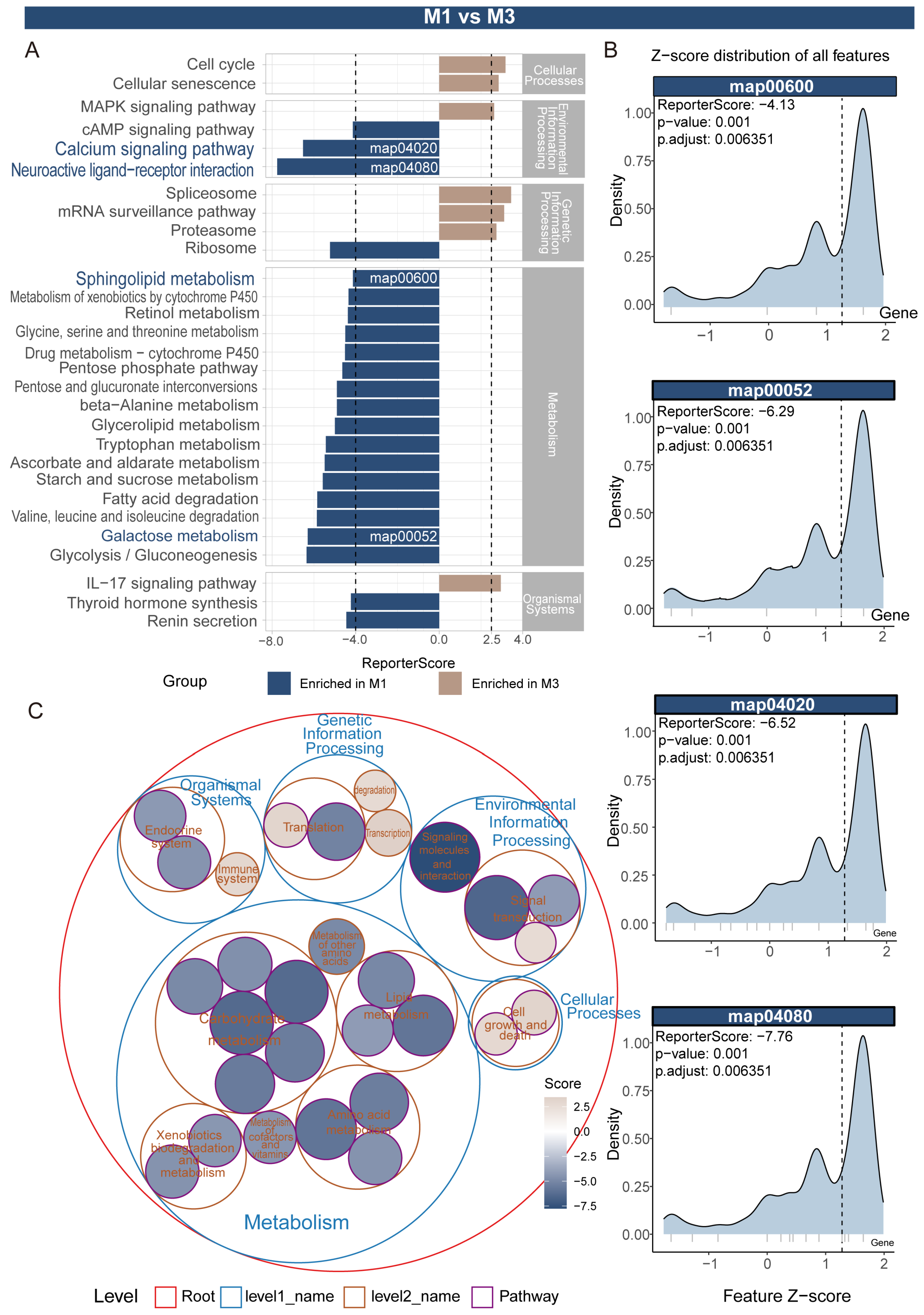 Insects 16 00634 g005