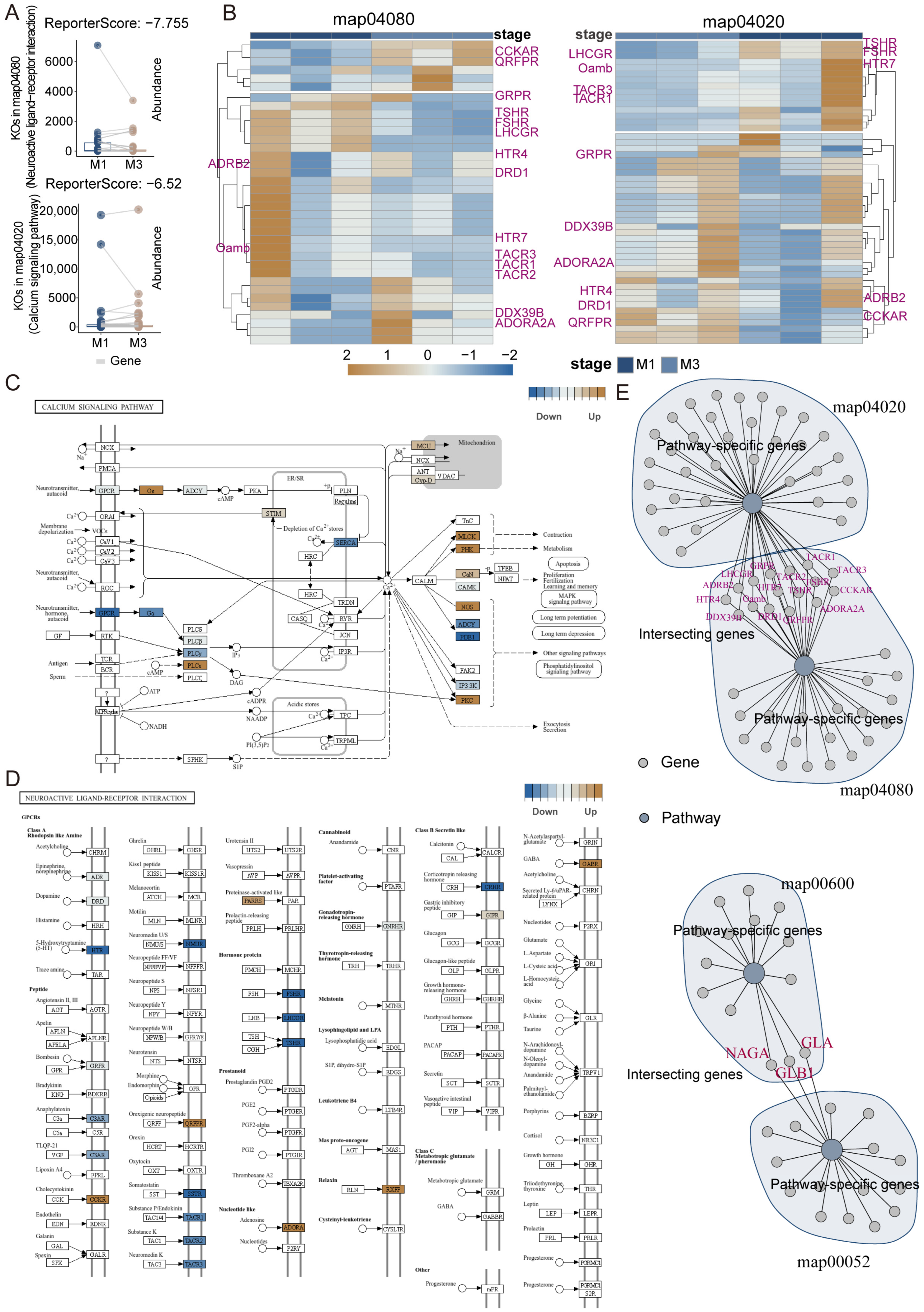 Insects 16 00634 g006