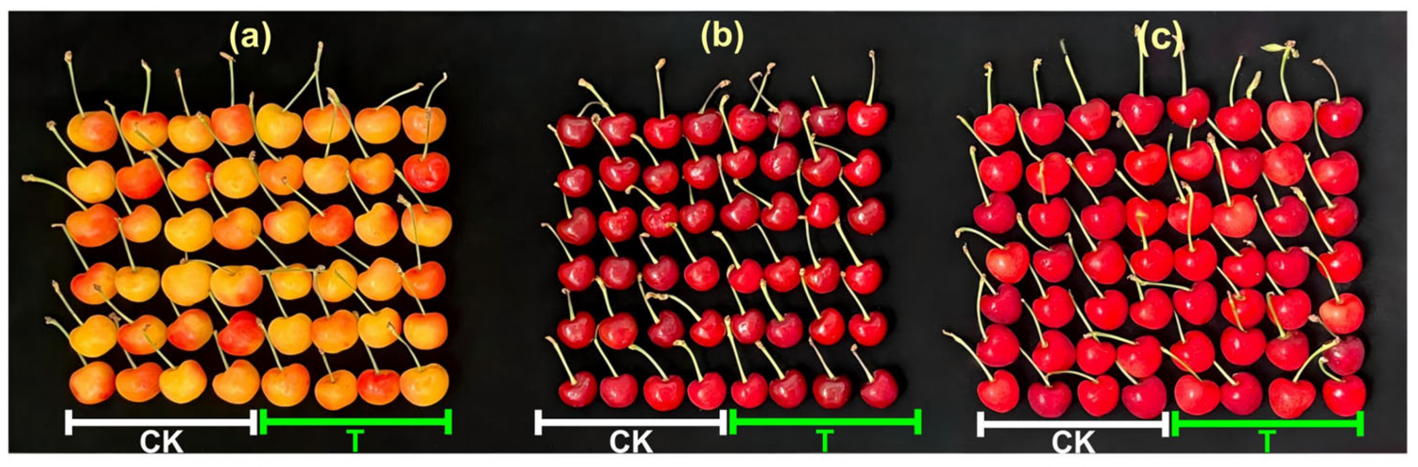 Insects 16 00635 g002