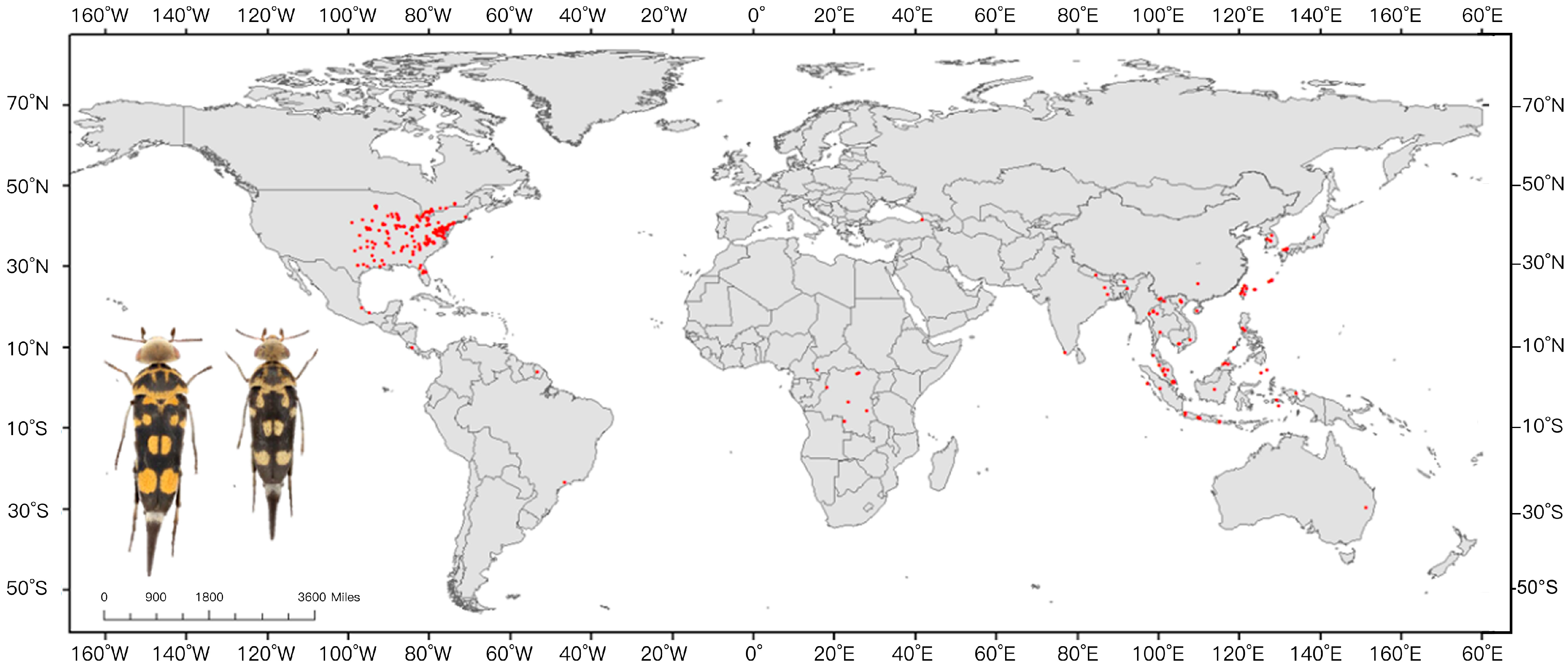 Insects 16 00642 g001