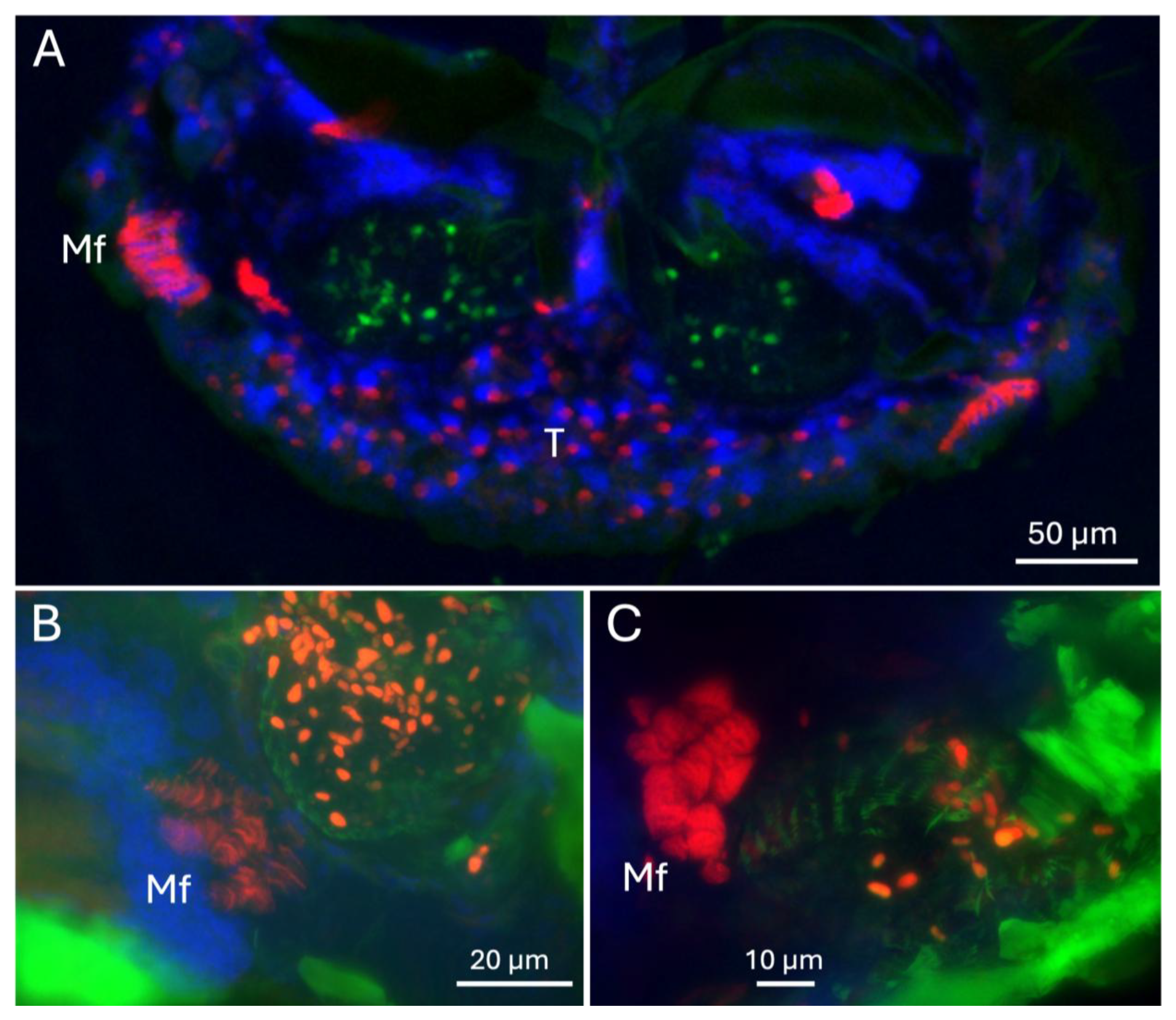 Insects 16 00644 g009