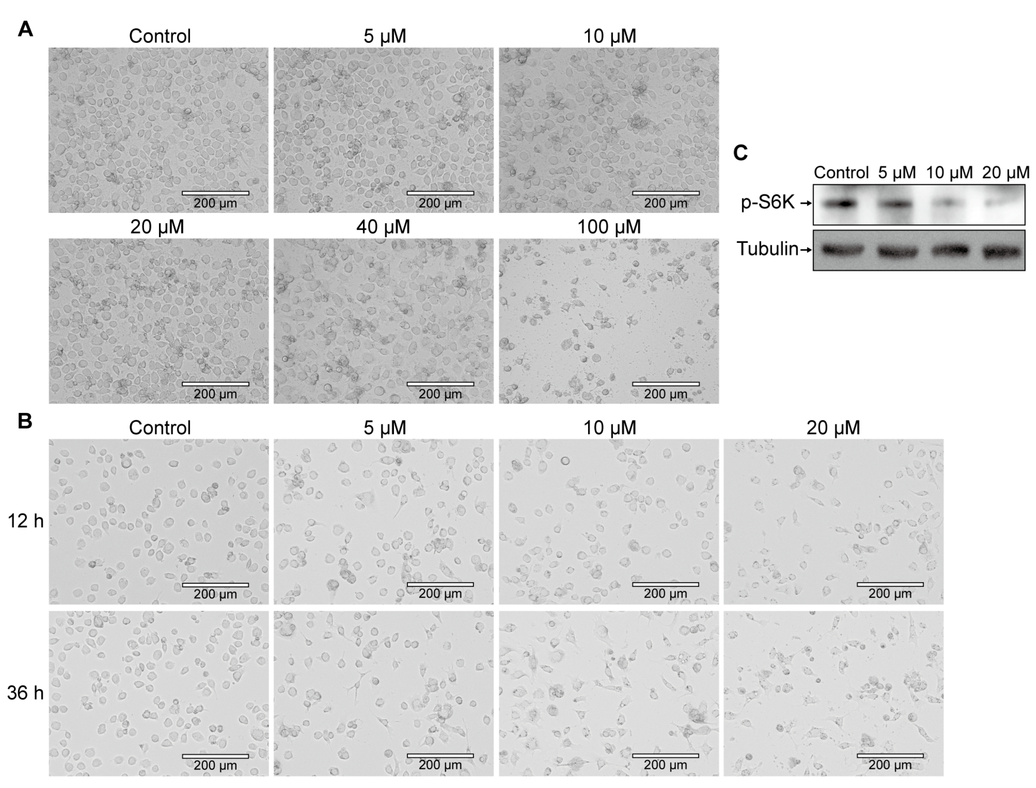 Insects 16 00647 g001