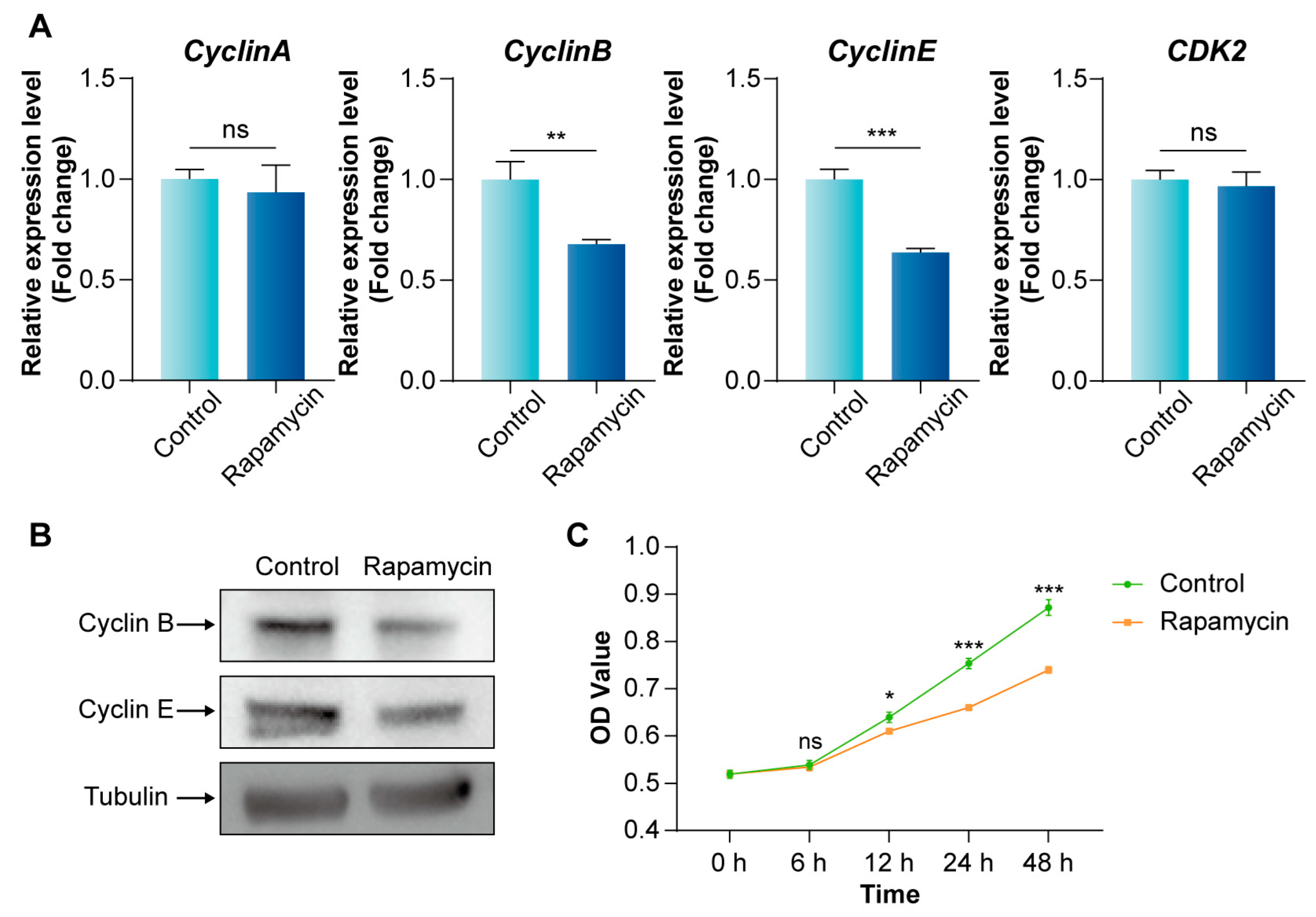 Insects 16 00647 g002