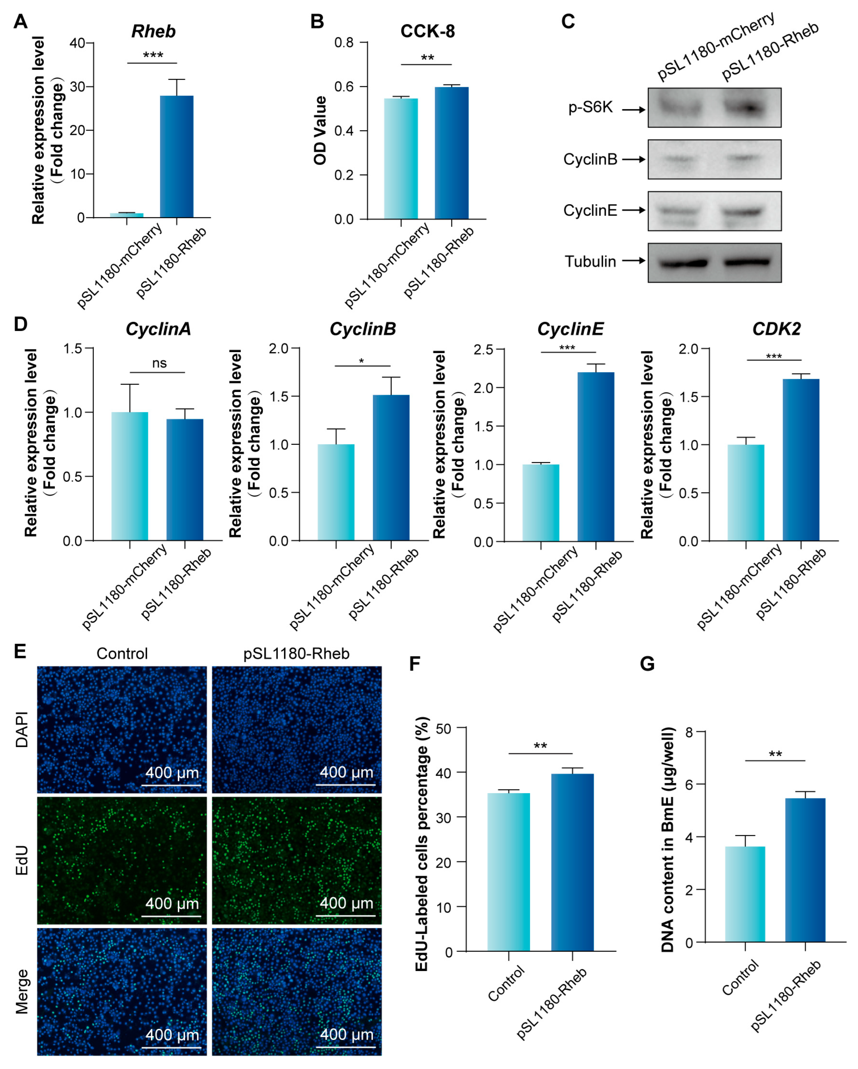Insects 16 00647 g004