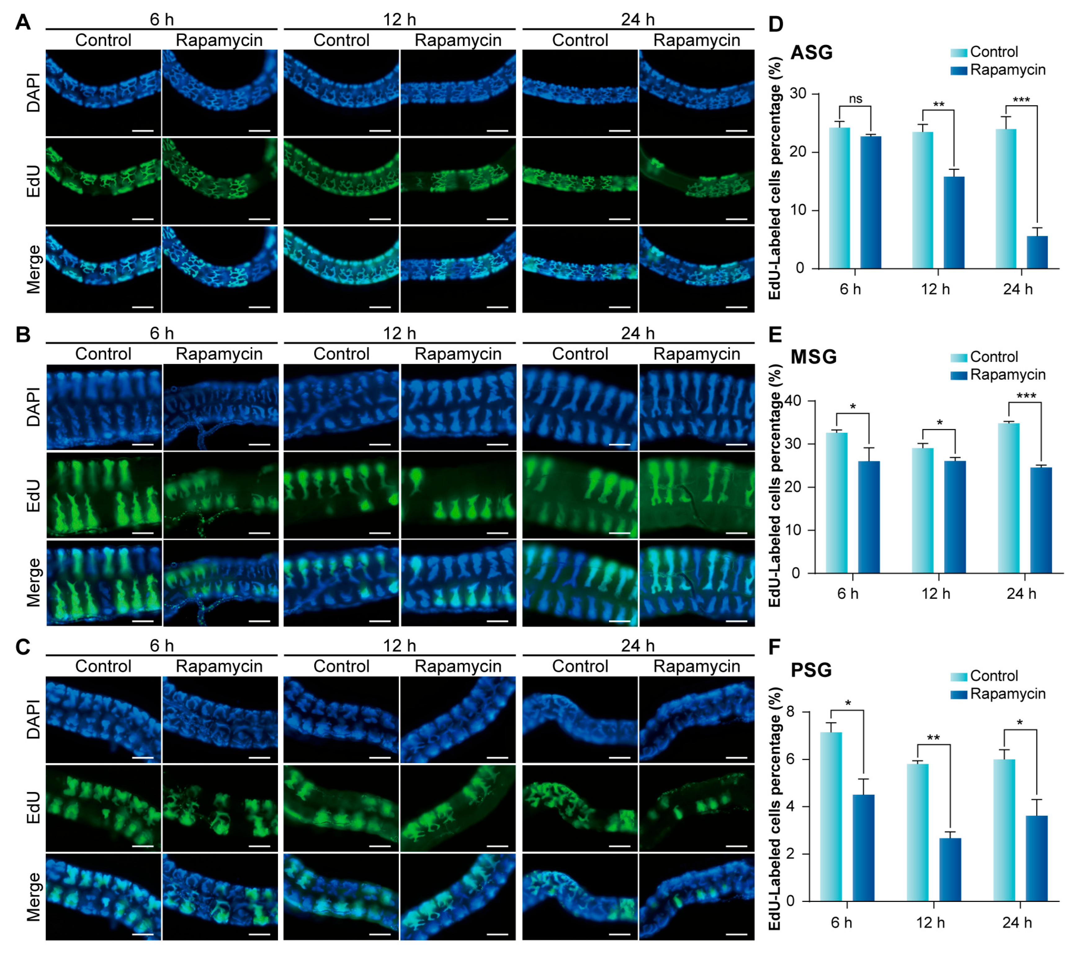 Insects 16 00647 g005