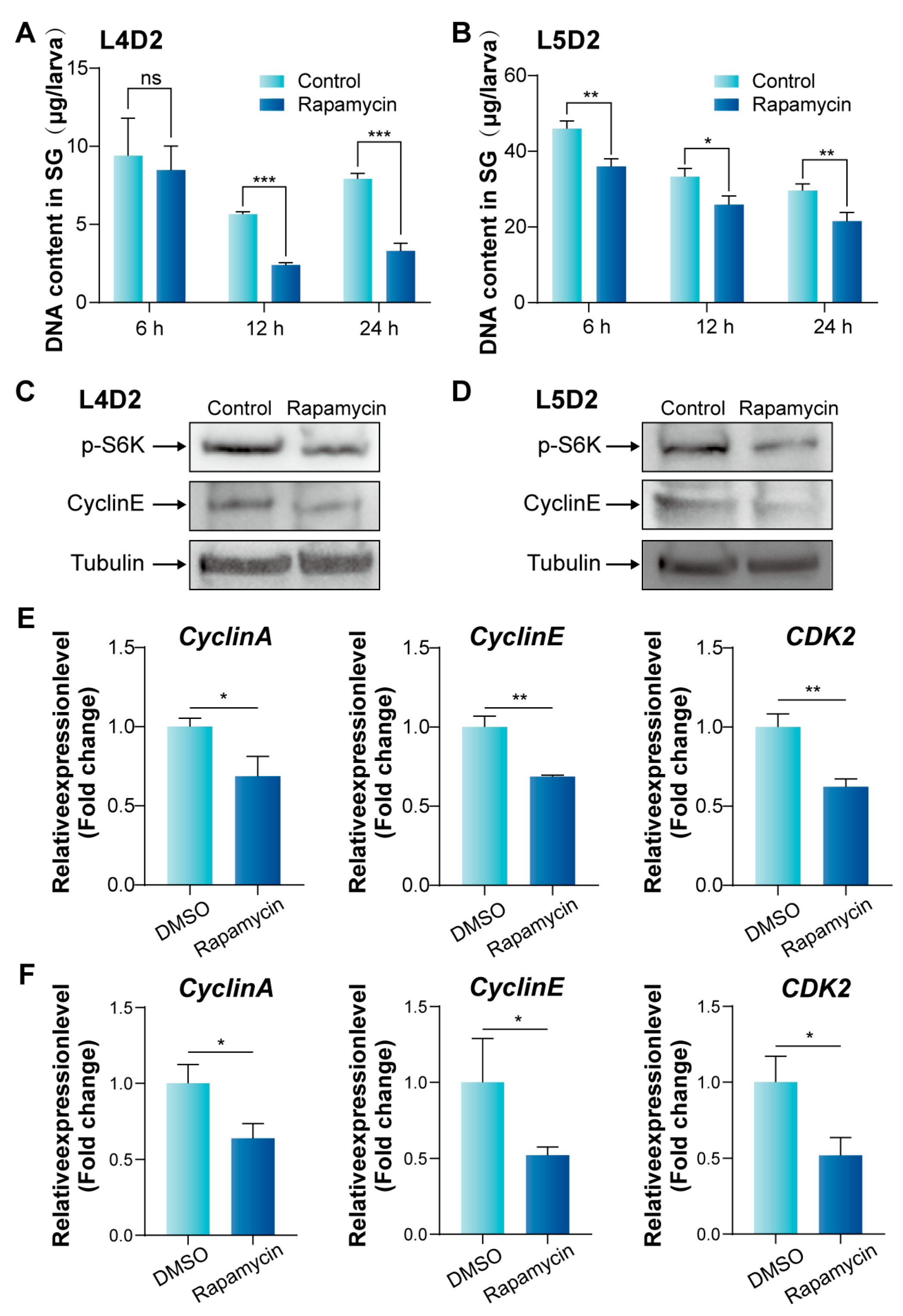 Insects 16 00647 g006