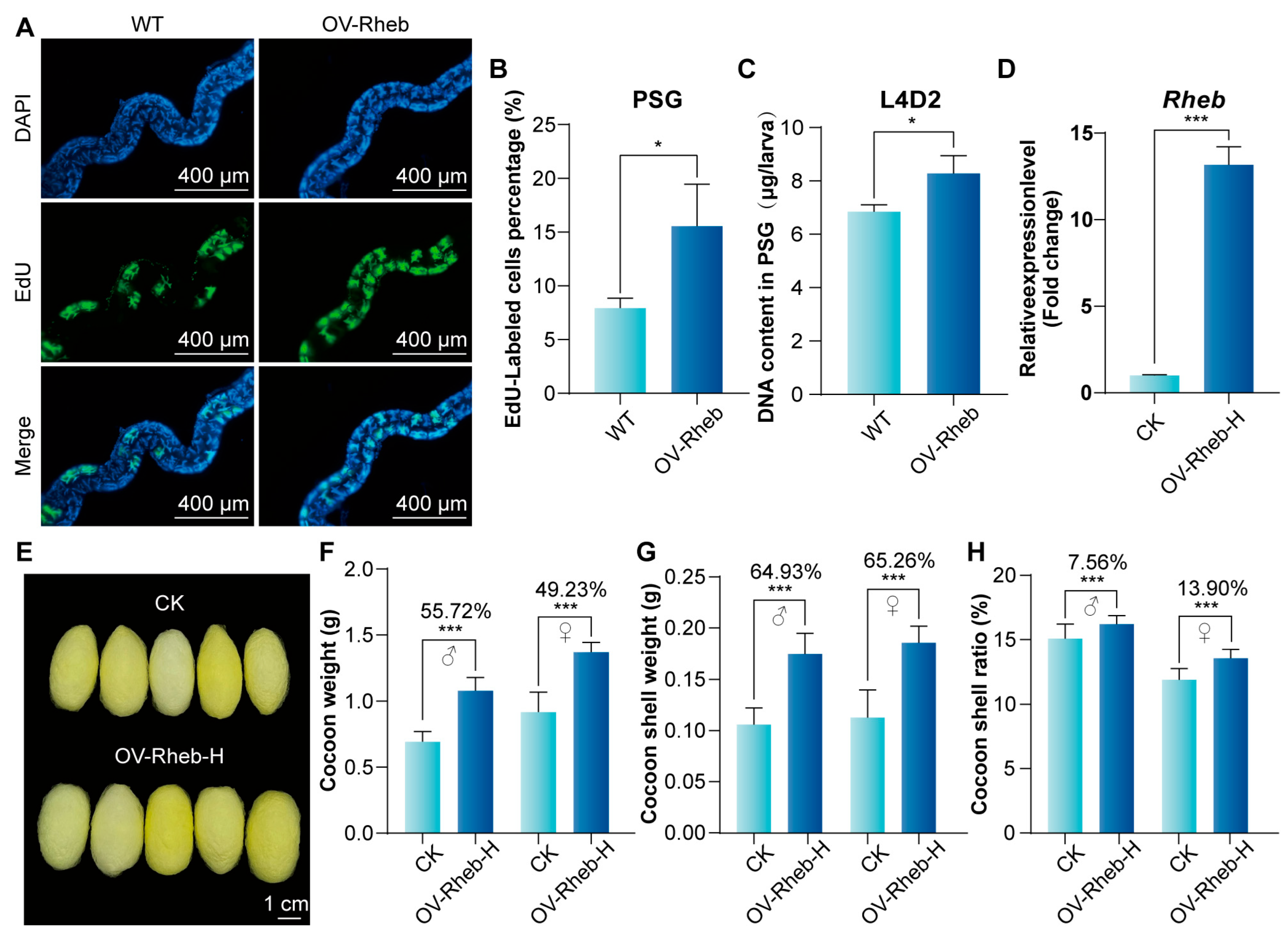 Insects 16 00647 g007