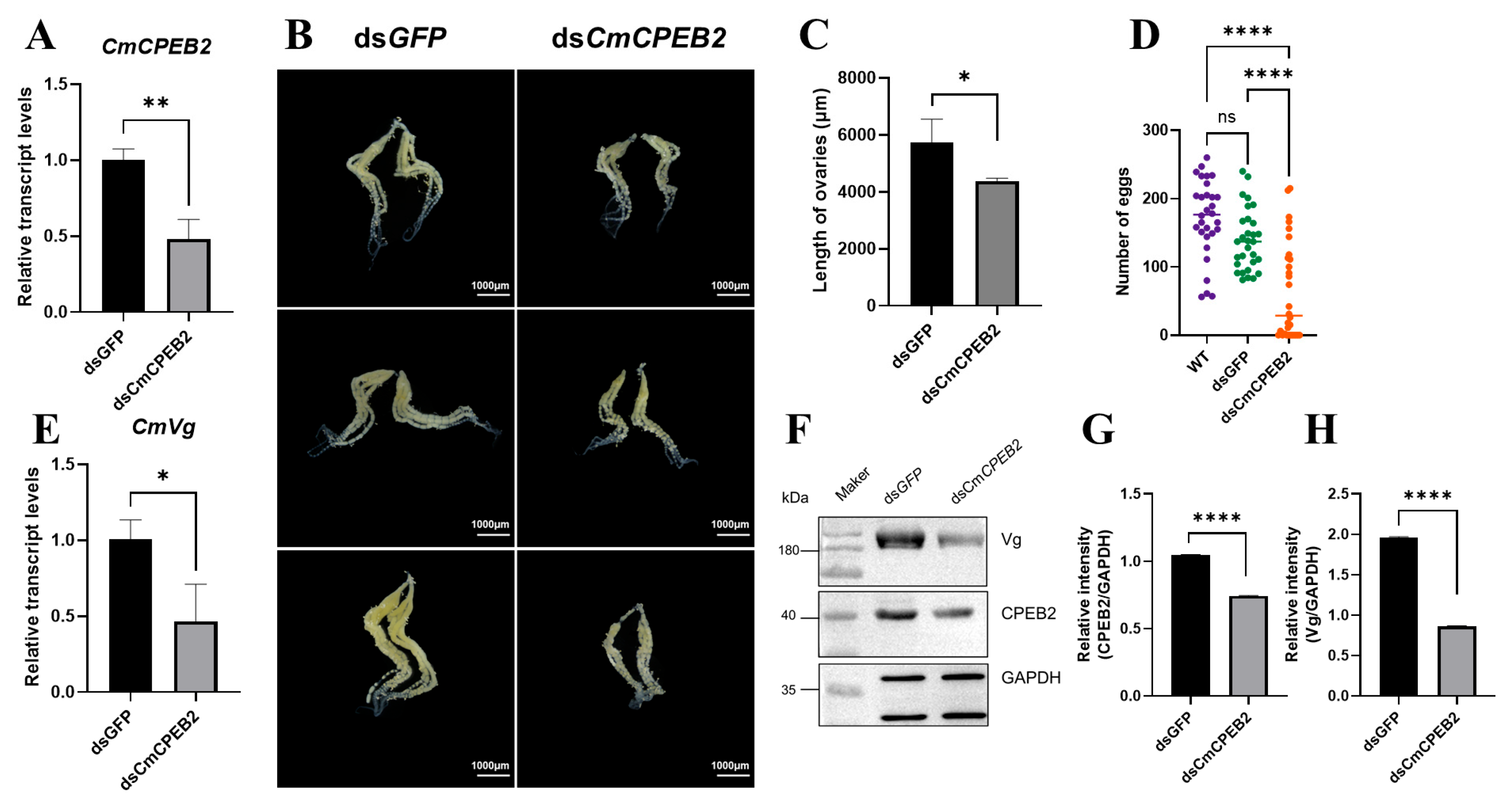 Insects 16 00666 g004 Insects 16 00666 g004
