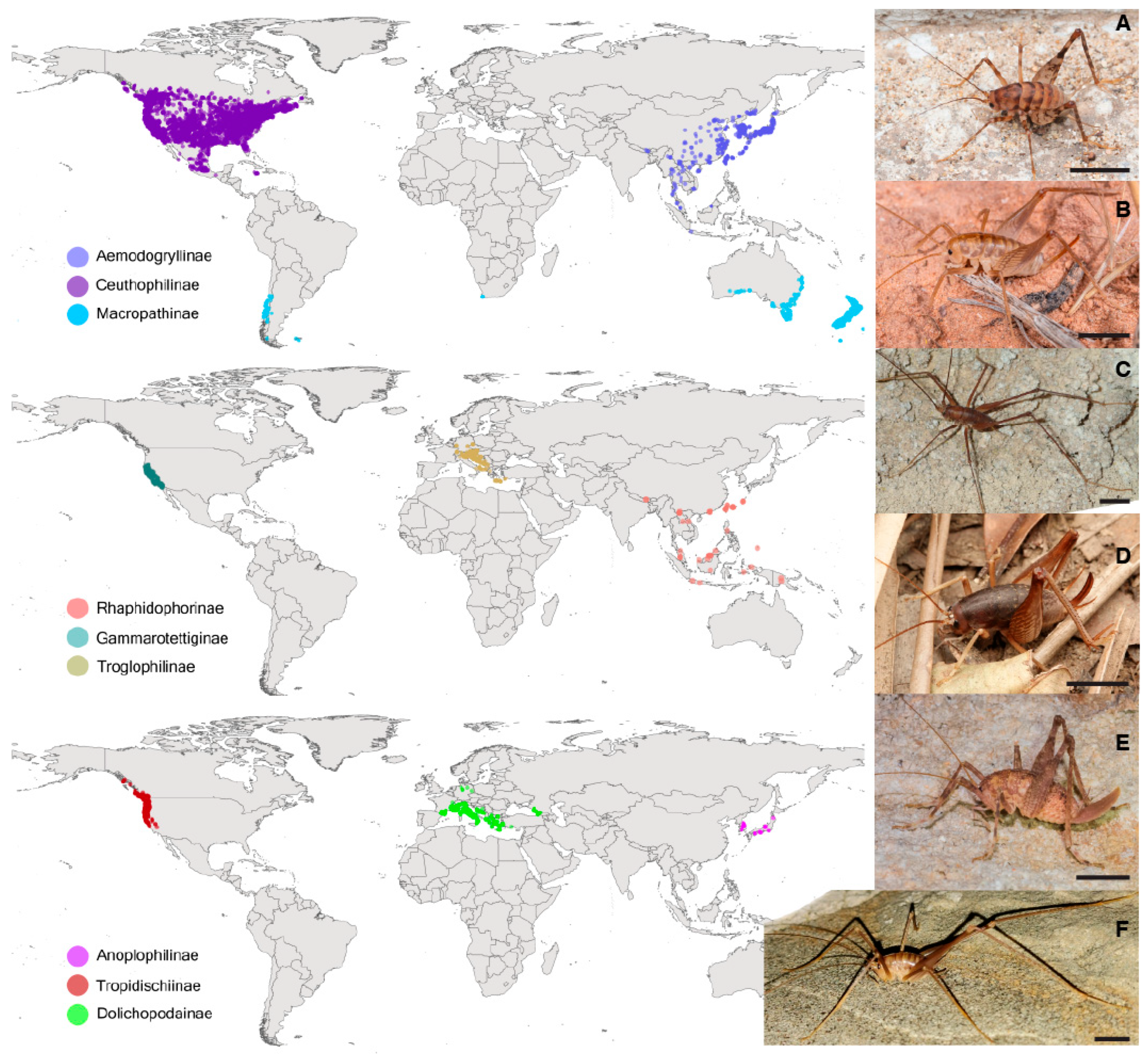 Insects 16 00670 g001
