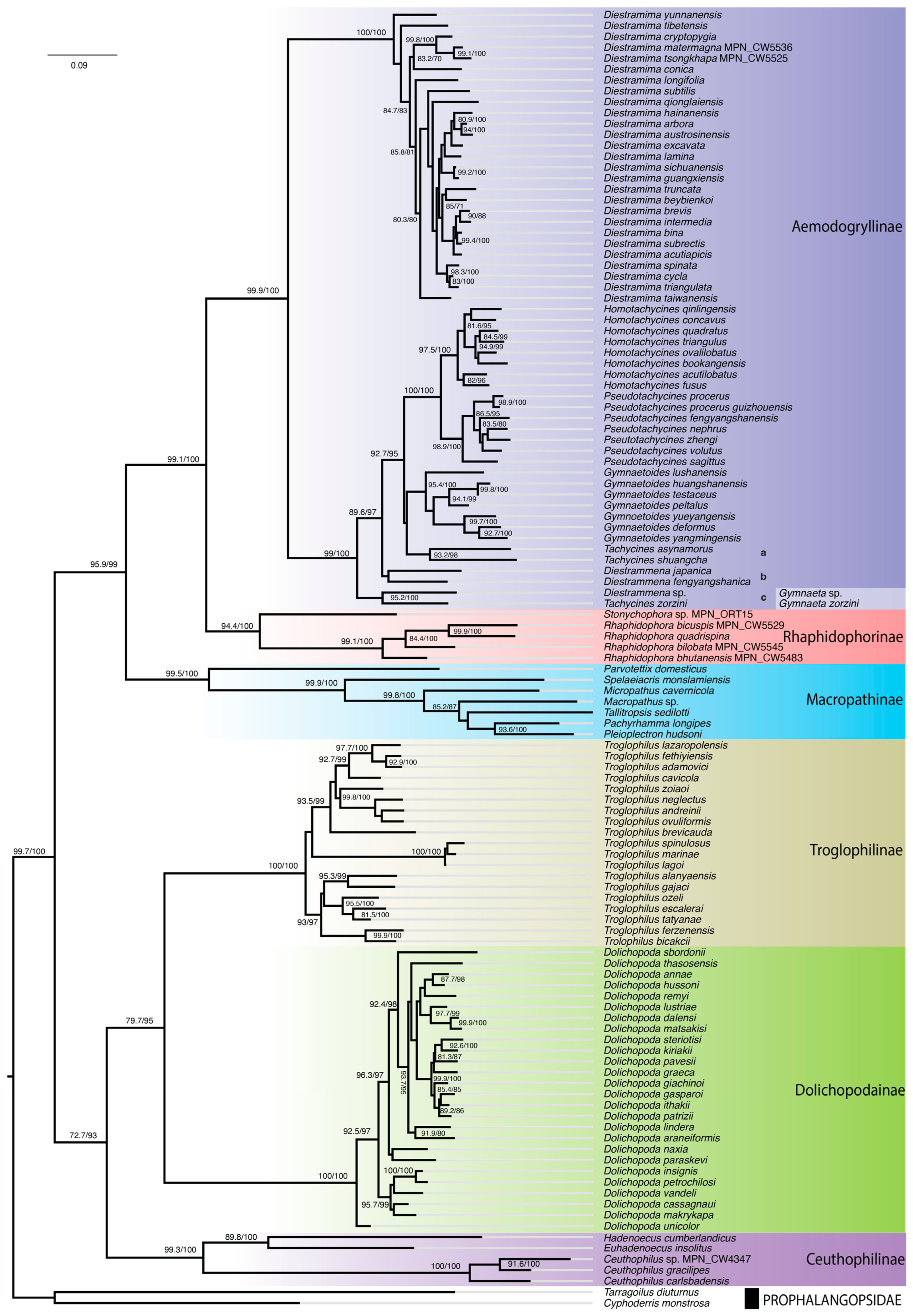 Insects 16 00670 g002