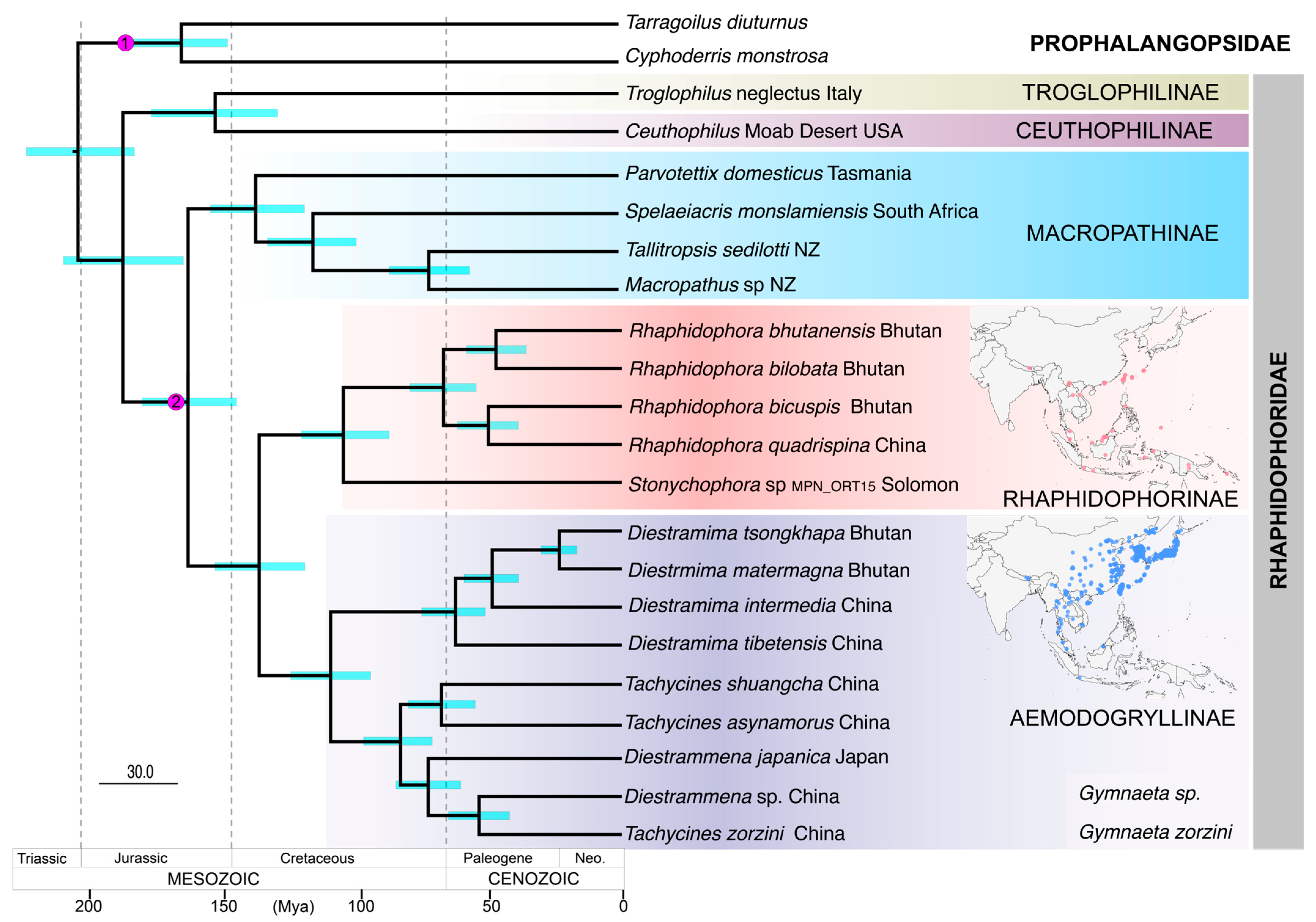 Insects 16 00670 g003