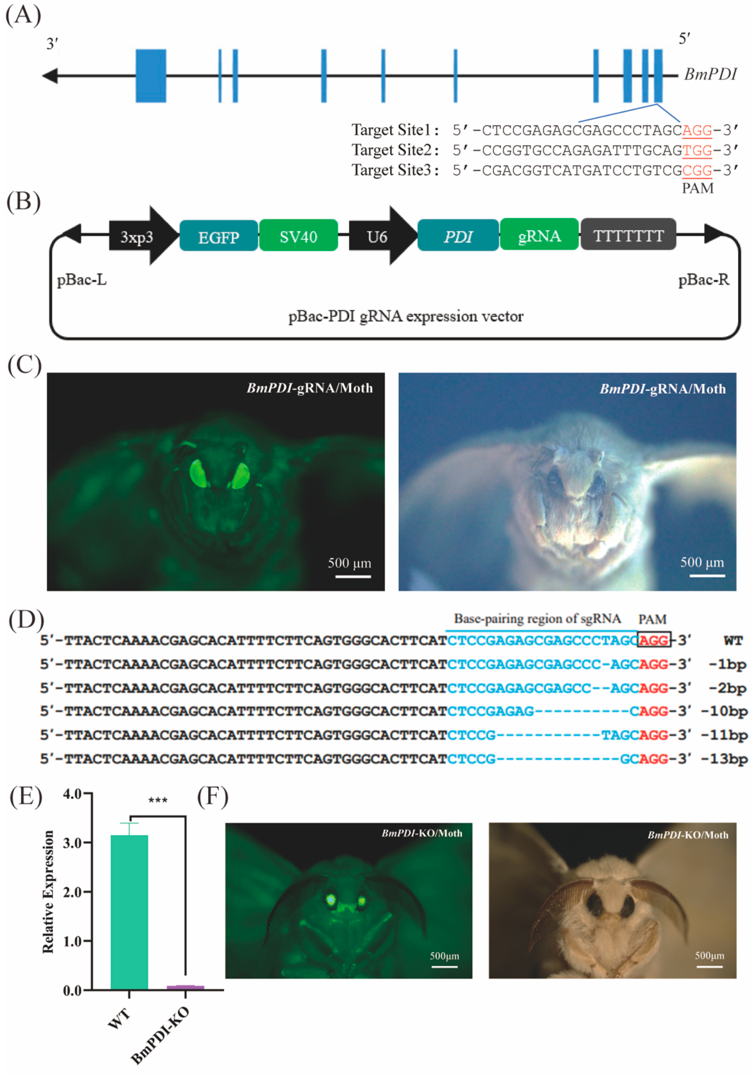 Insects 16 00684 g002