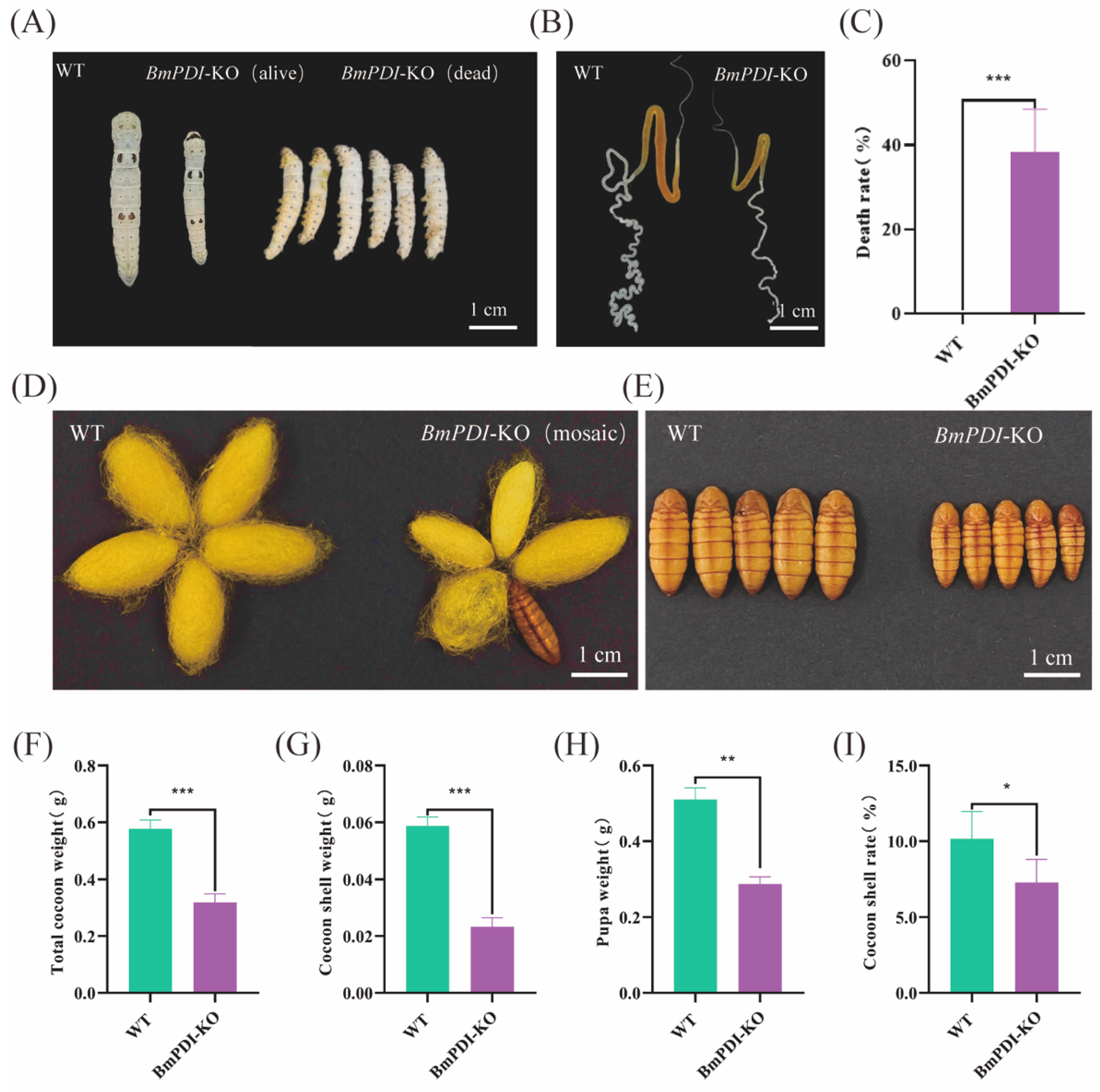 Insects 16 00684 g003