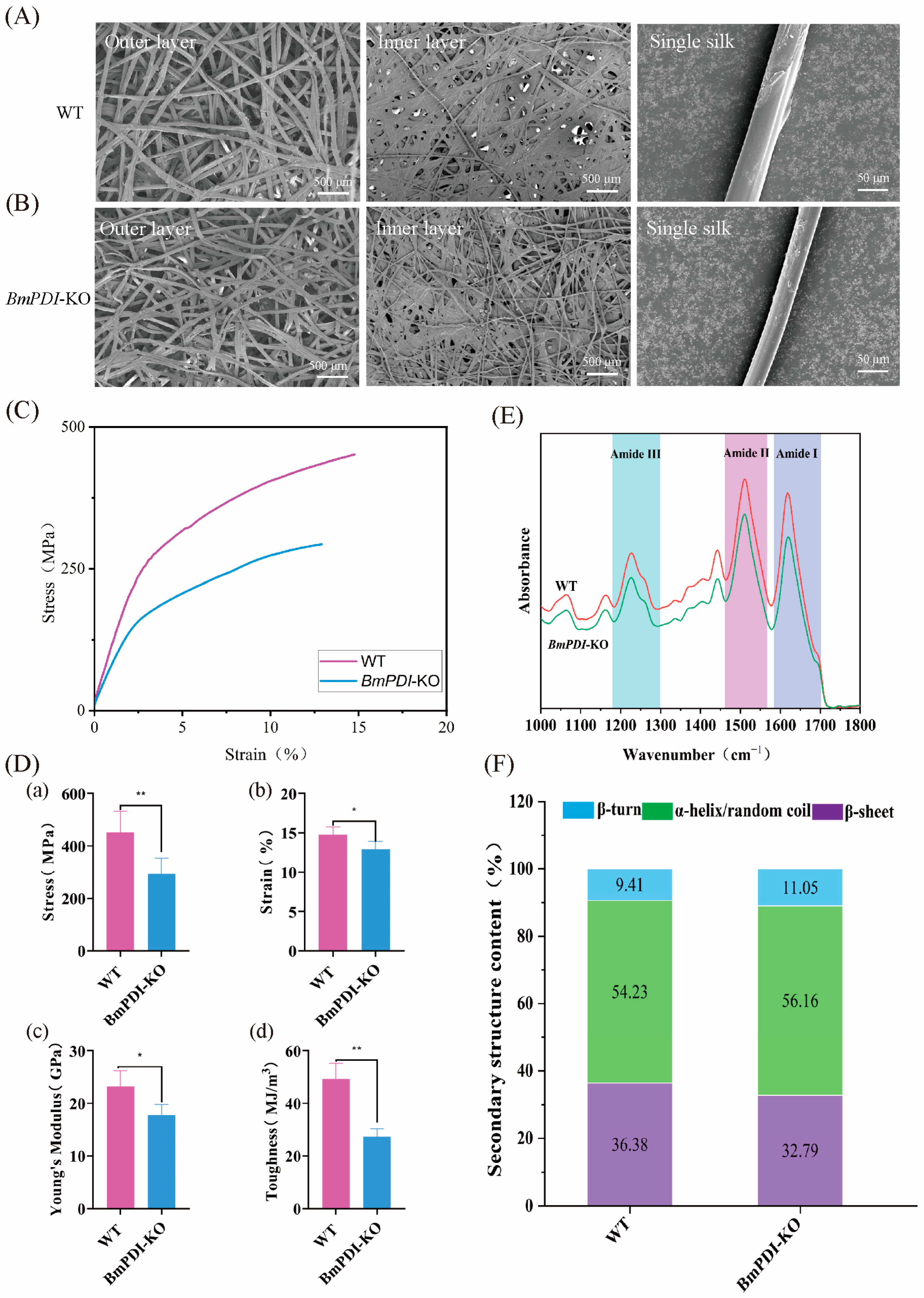 Insects 16 00684 g004