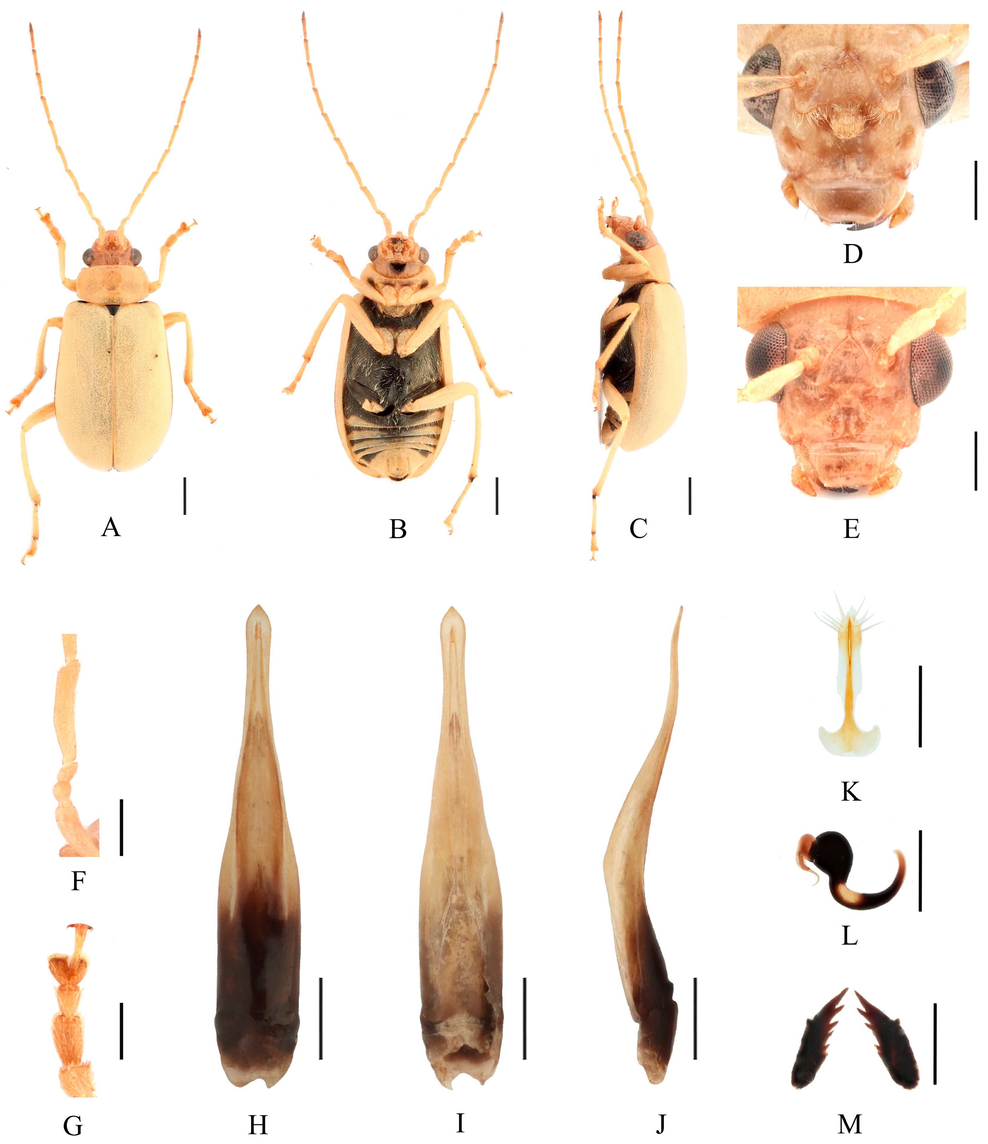 Insects 16 00685 g014