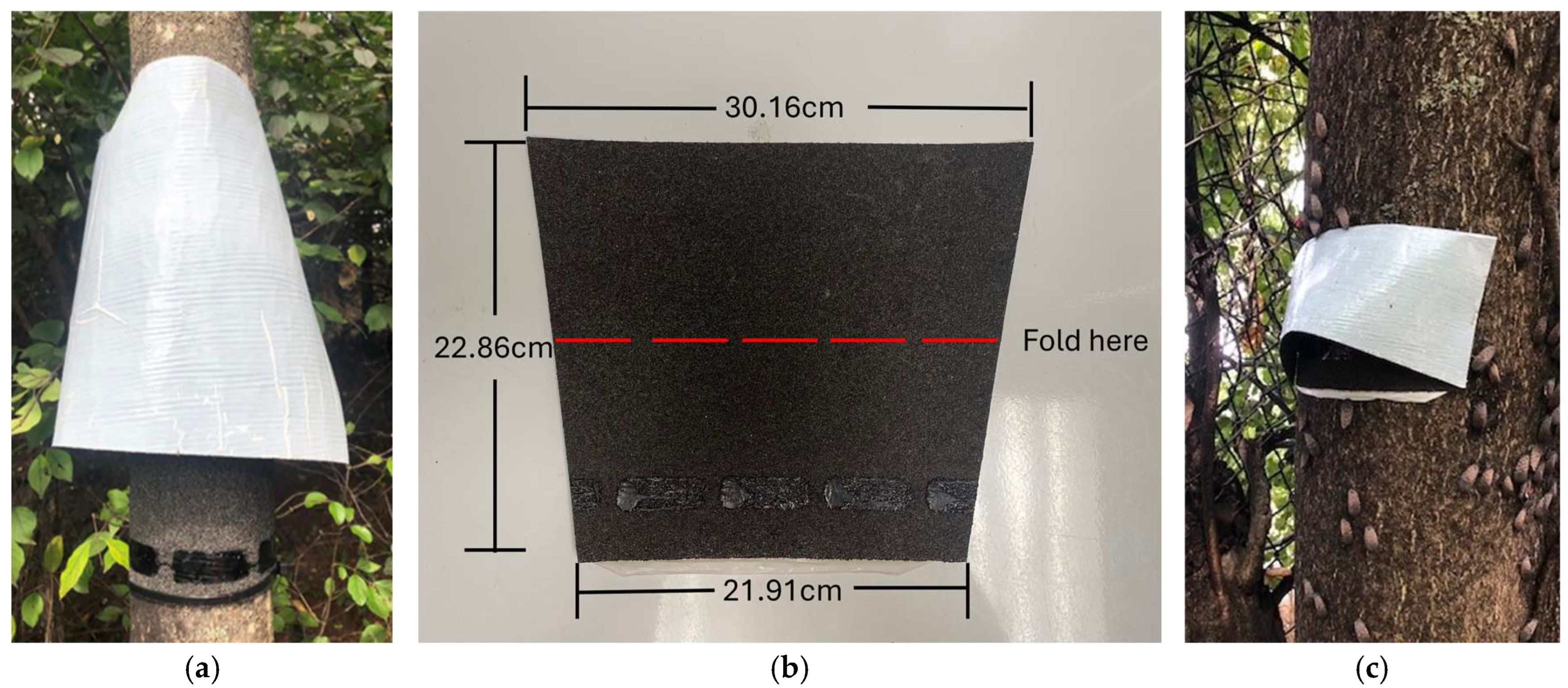 Insects 16 00689 g001