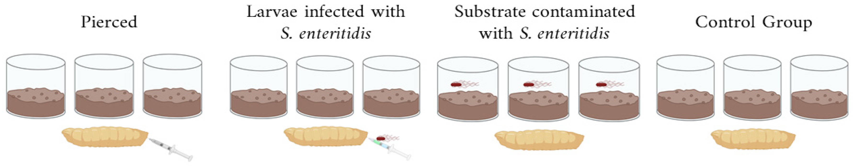 Insects 16 00692 g001