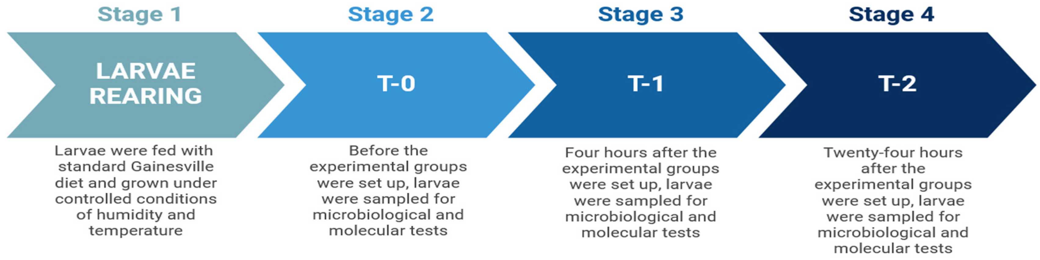 Insects 16 00692 g002