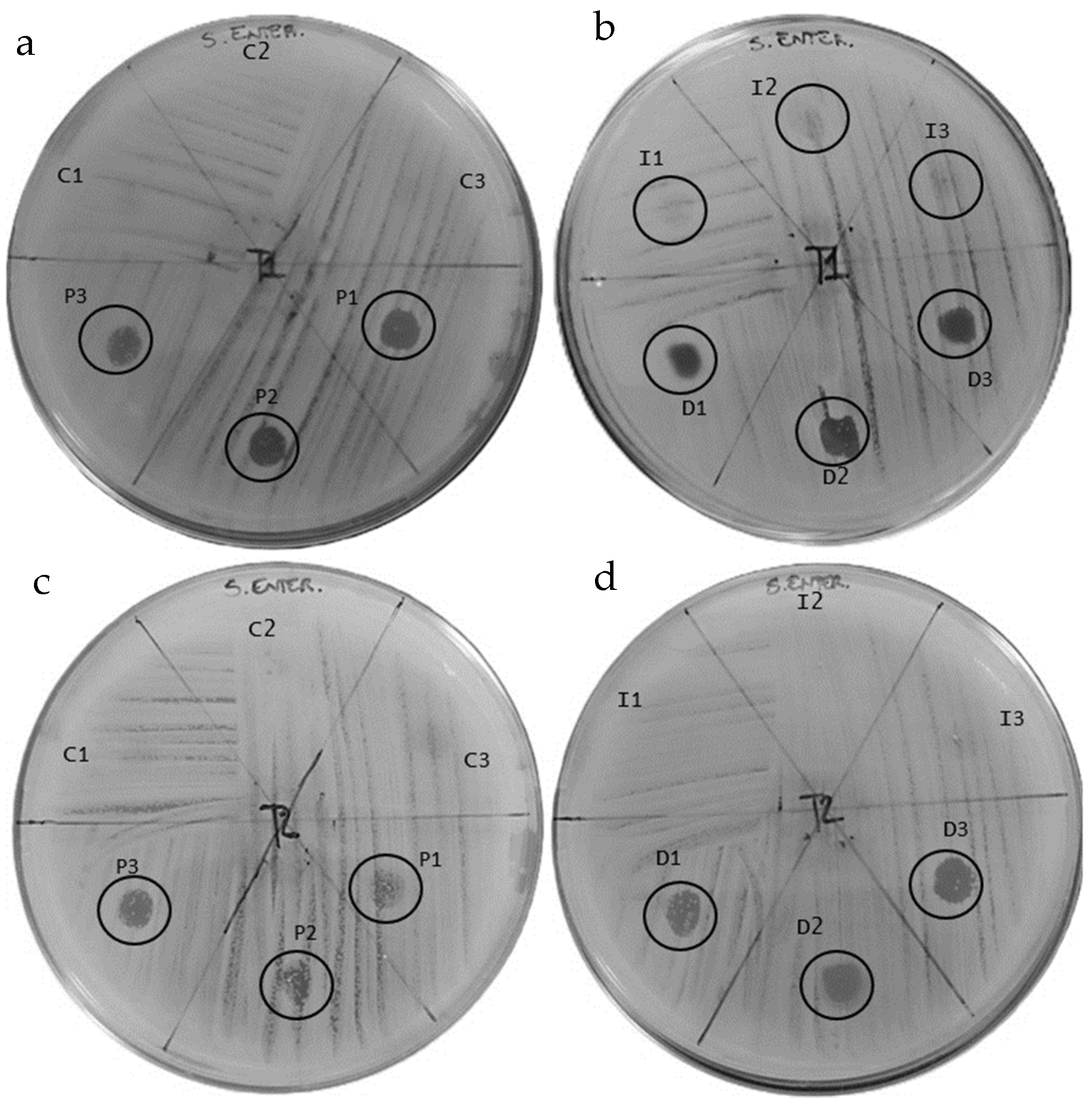 Insects 16 00692 g008