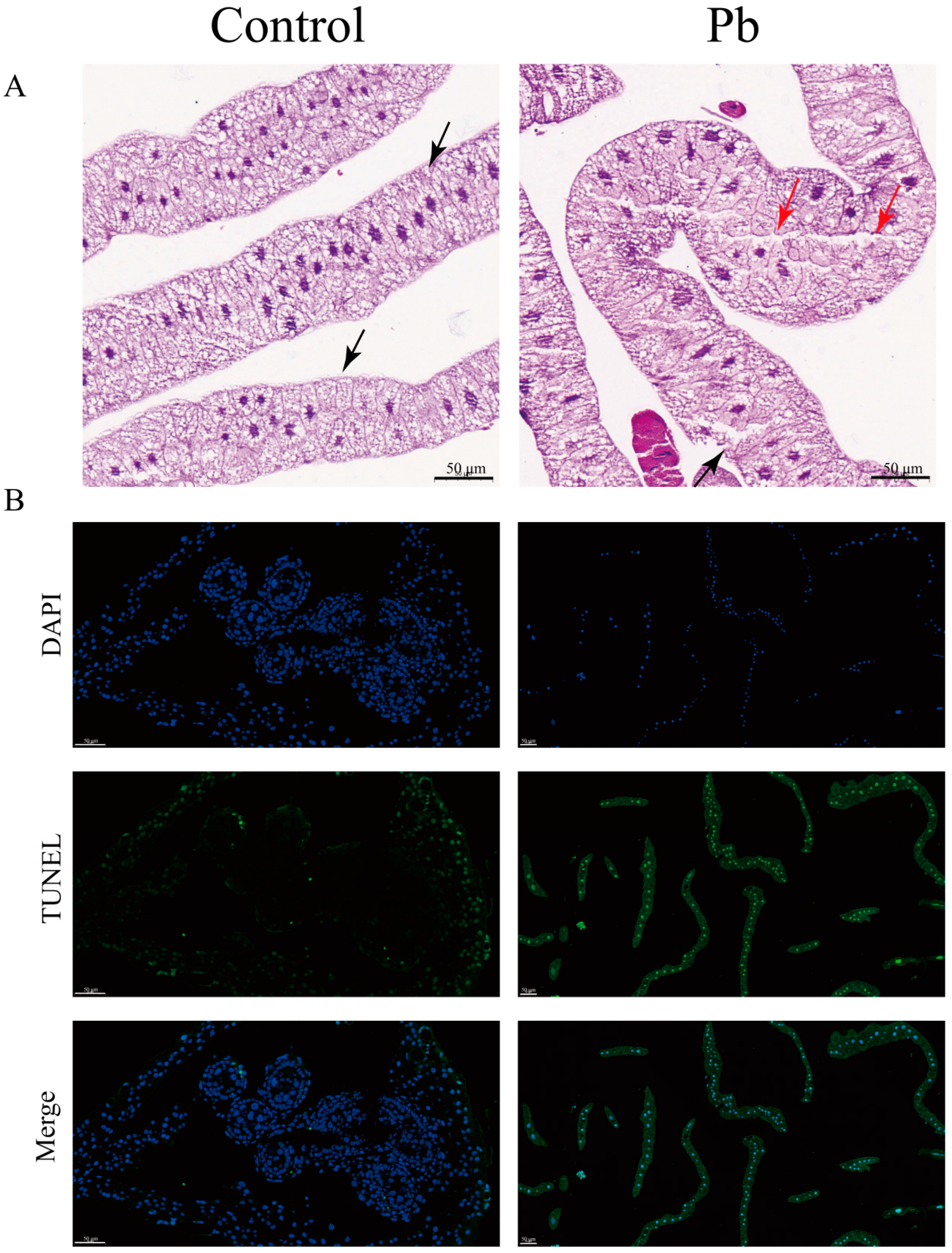 Insects 16 00699 g001